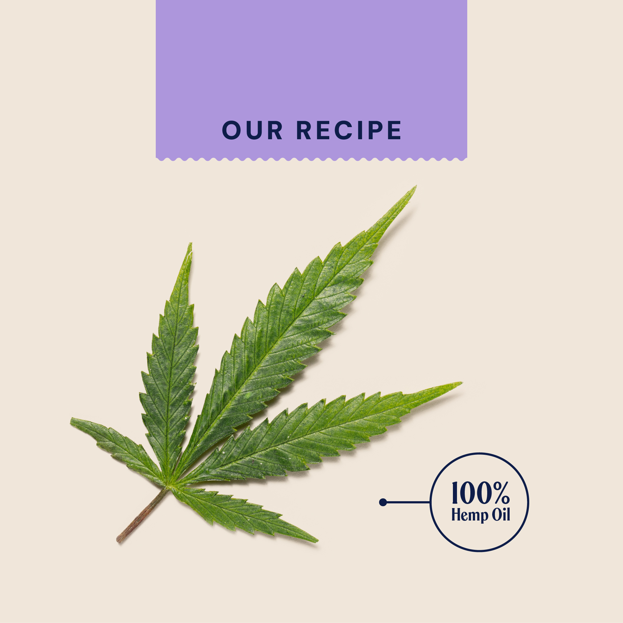 P&M INGREDIENT IMAGE SUPPLEMENTS WELLBEING HEMP OIL