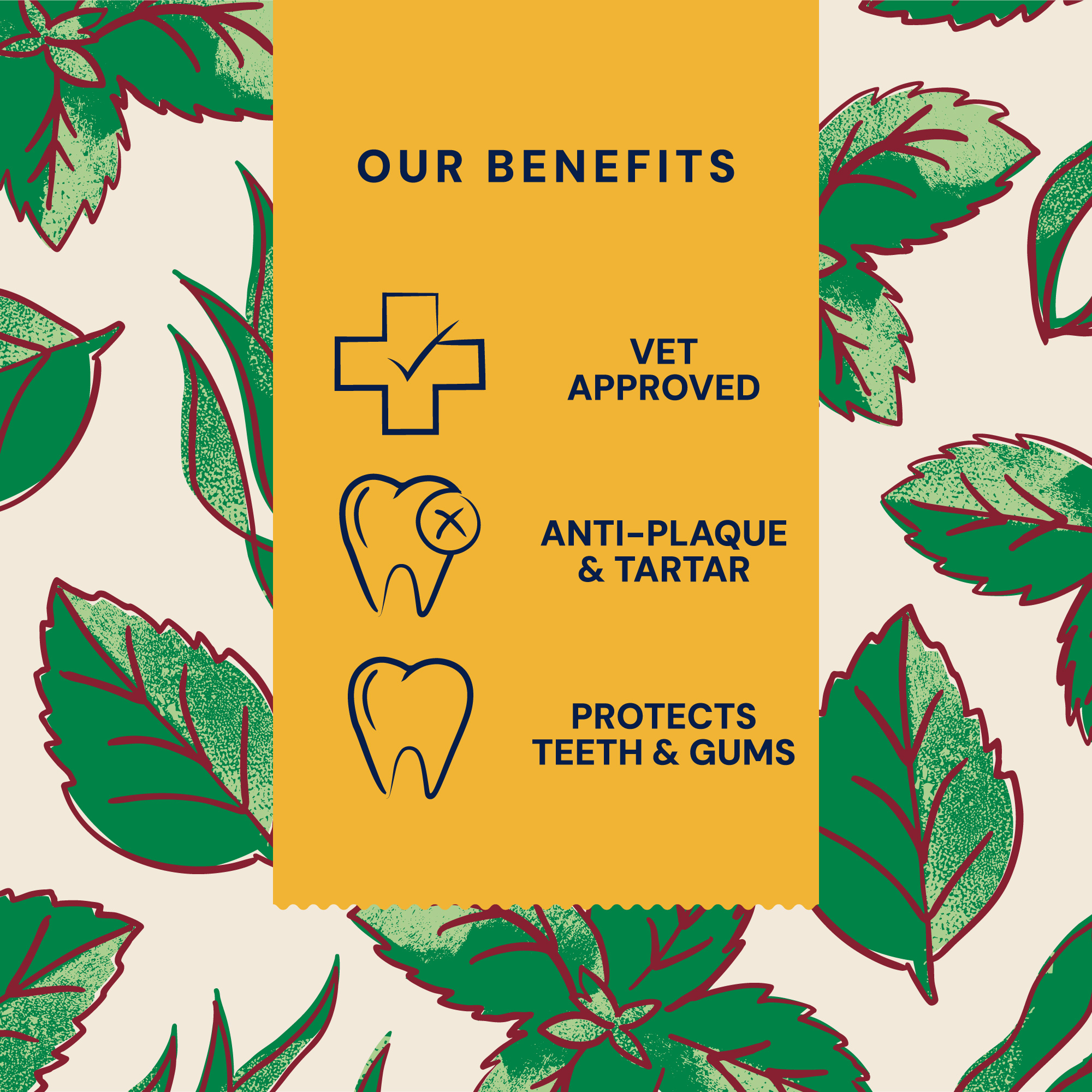 Superfood Dental Sticks For Dogs Benefits