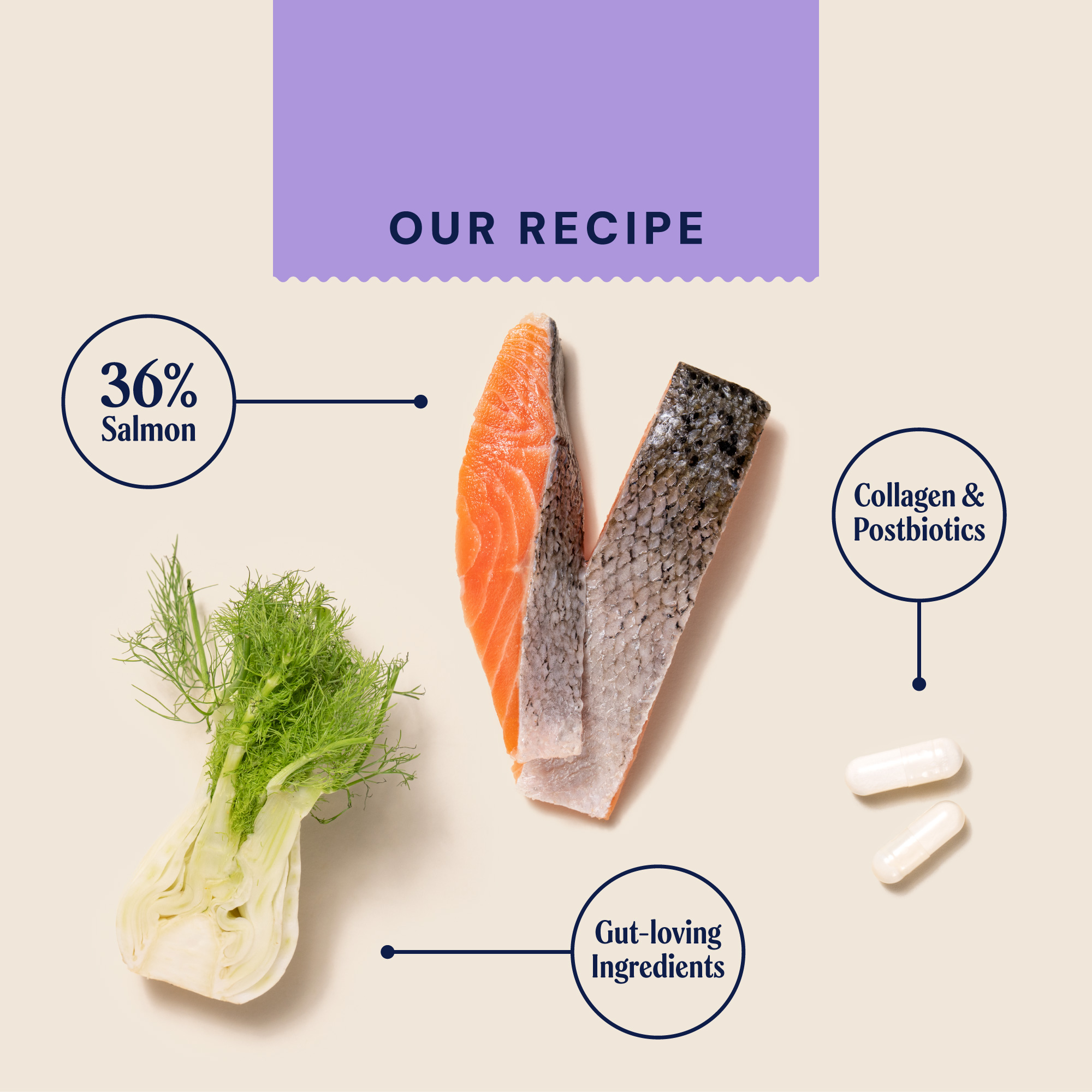 P&M INGREDIENT IMAGE WELLBEING HEALTH & DIGESTION MEATY TREATS