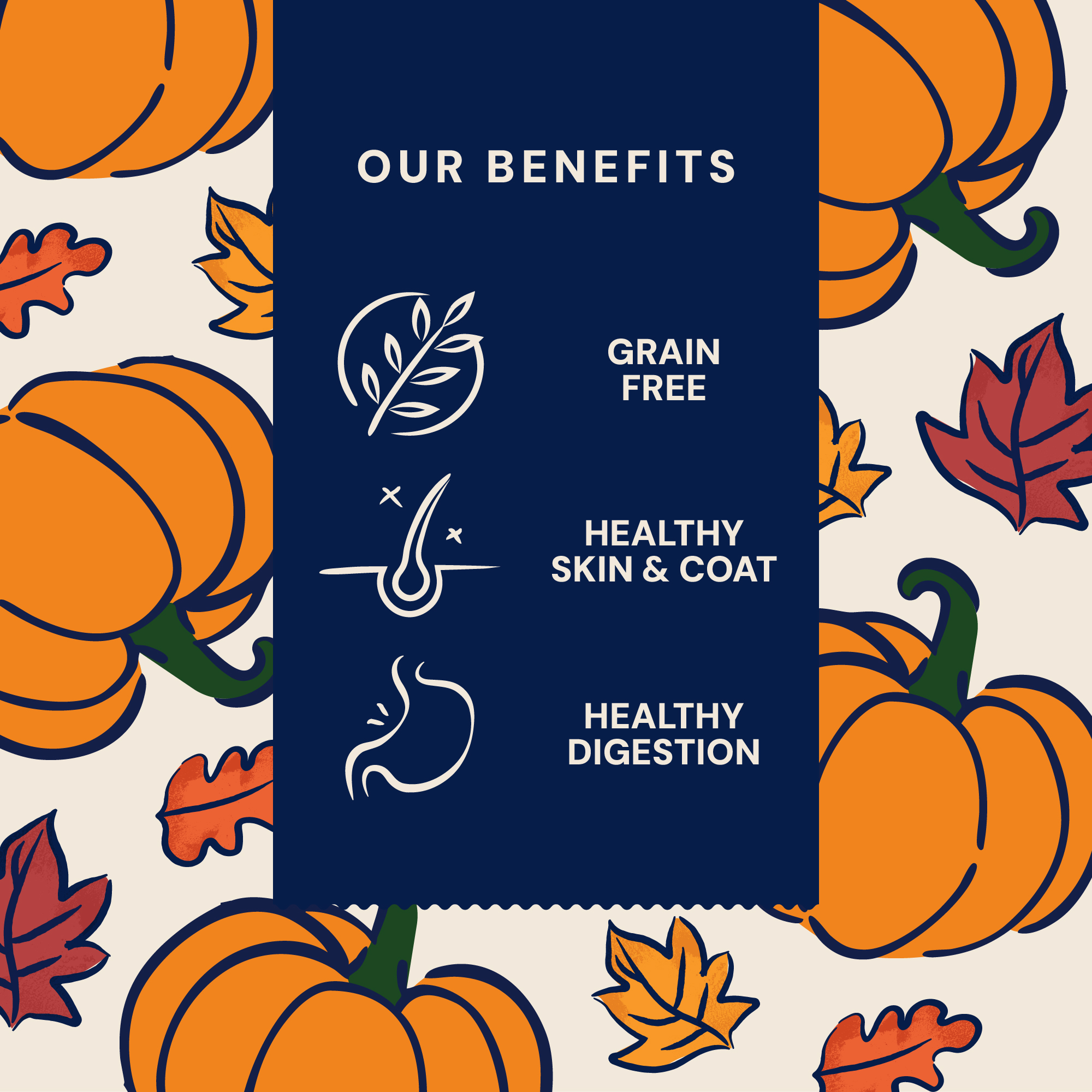 P&M BENEFIT CARD TREATS LIMITED EDITION PUMPKIN PATCH