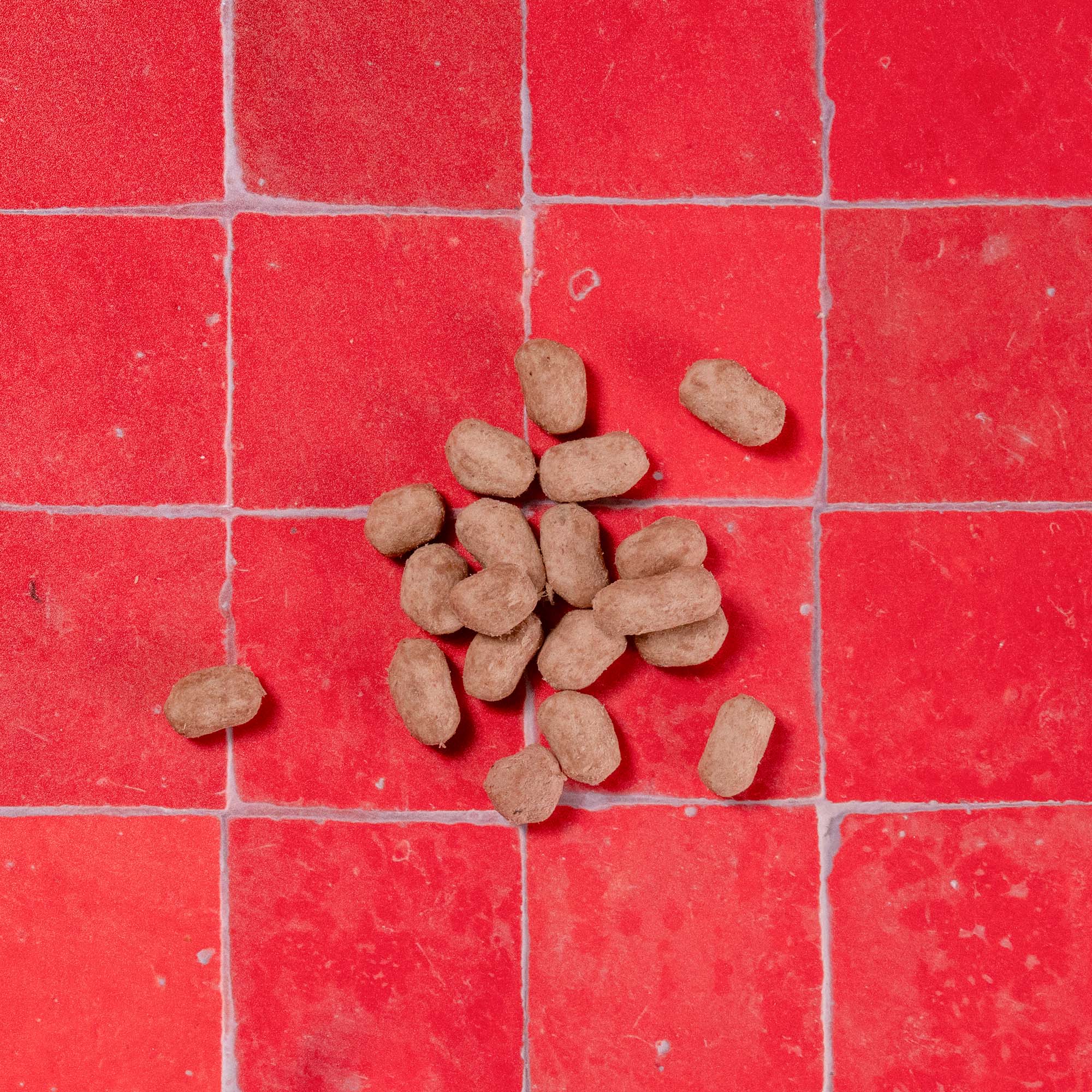 Chicken Multifunctional Freeze Dried Dog Food Topper