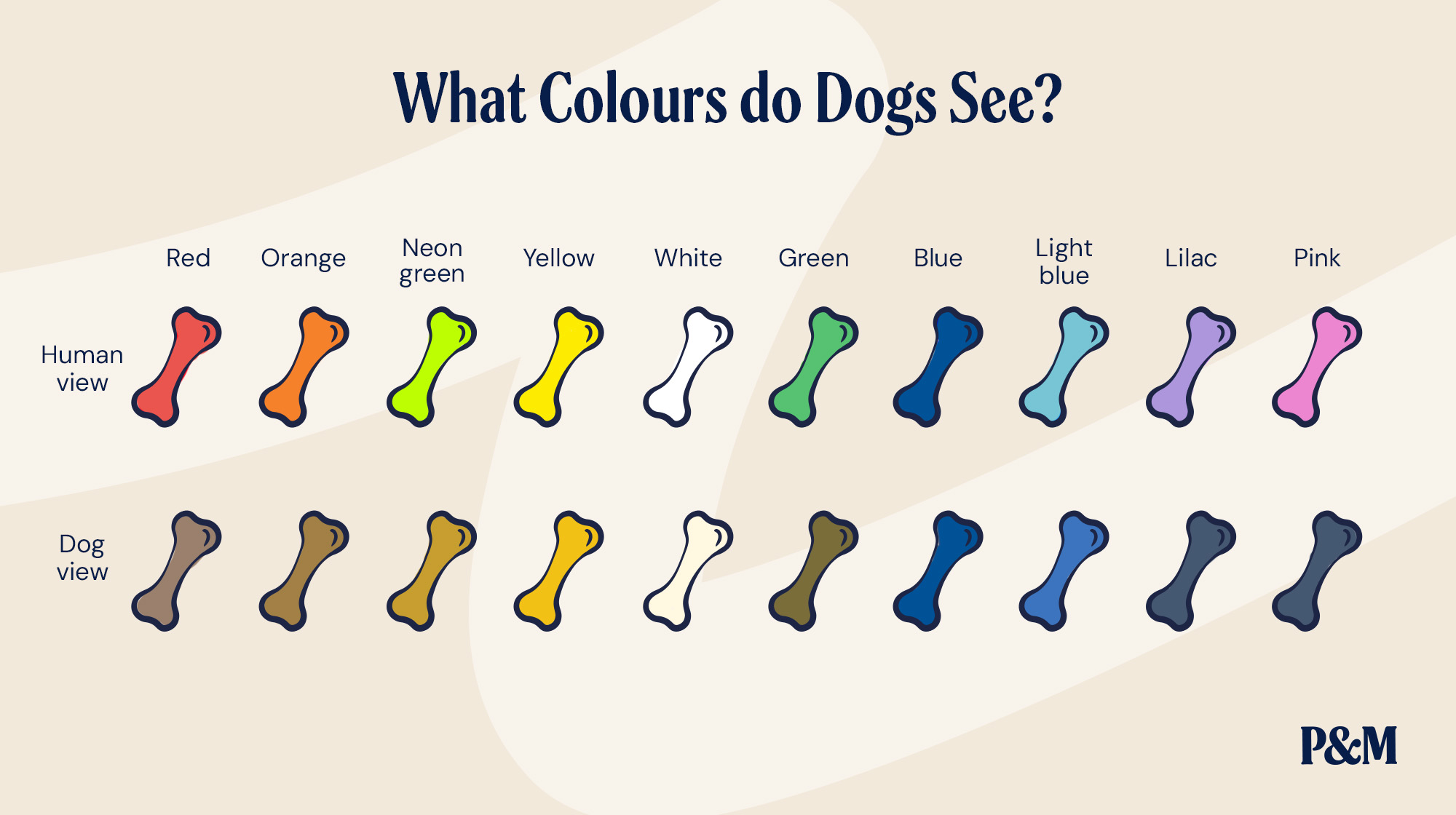 P&M BLOG WHAT COLOURS DO DOGS SEE INFOGRAPHIC 1