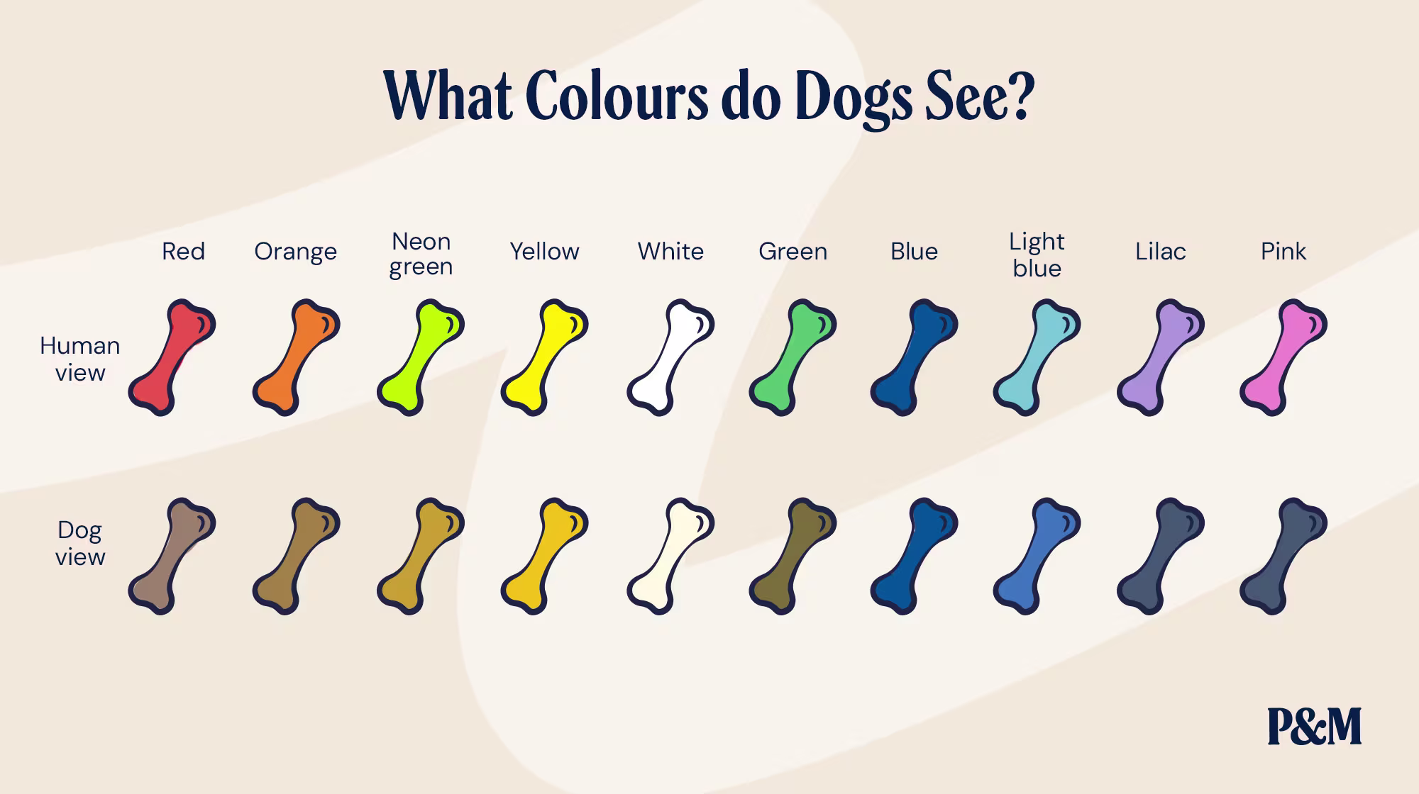 P&M BLOG WHAT COLOURS DO DOGS SEE INFOGRAPHIC 1