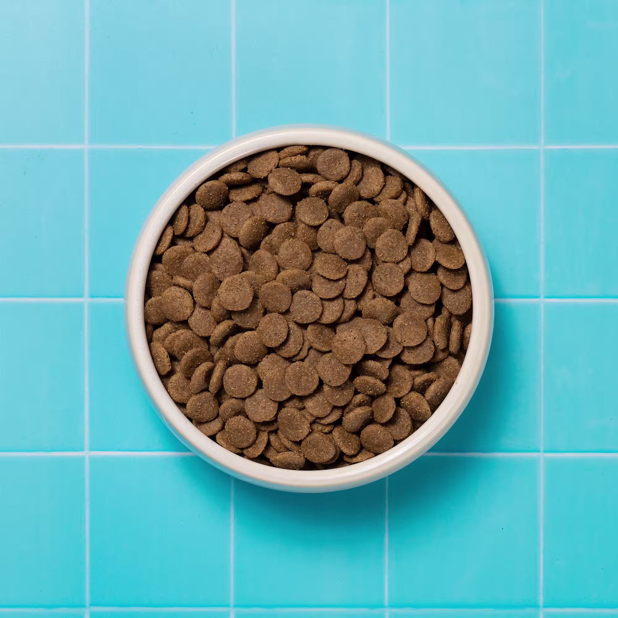 Bowl of Sensitivity Dry Dog Food For Allergies