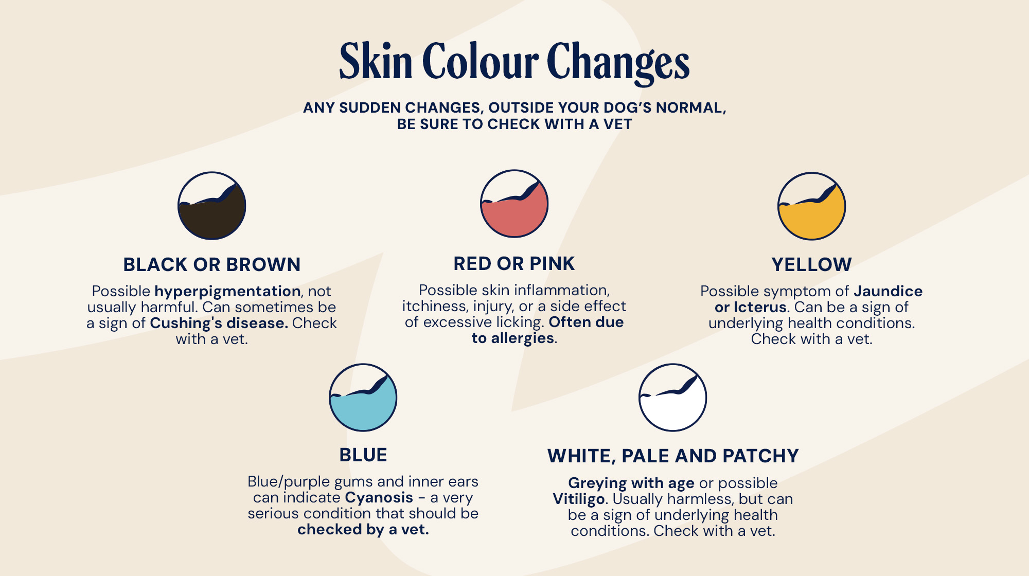 INFOGRAPHIC UPDATE - DOG COLOURS