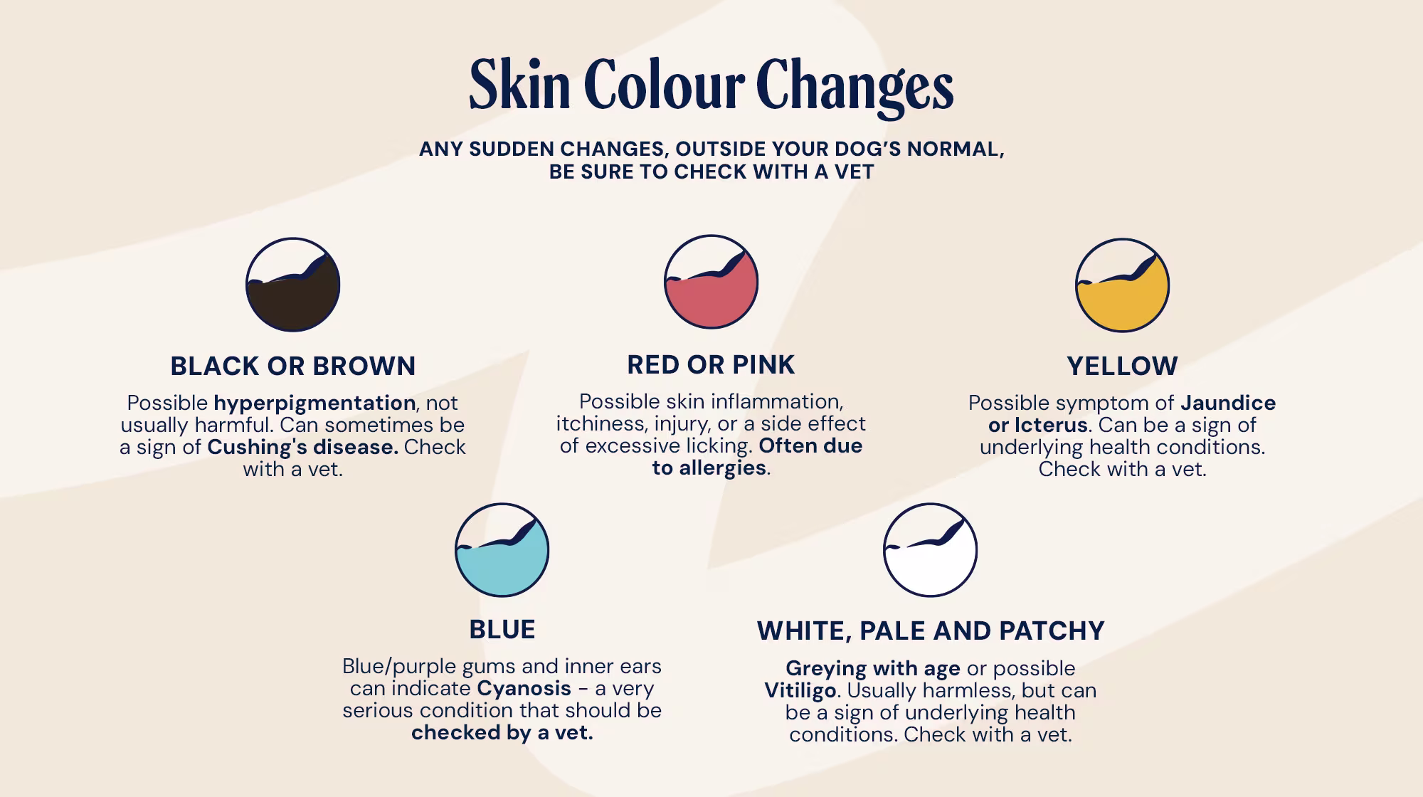 INFOGRAPHIC UPDATE - DOG COLOURS