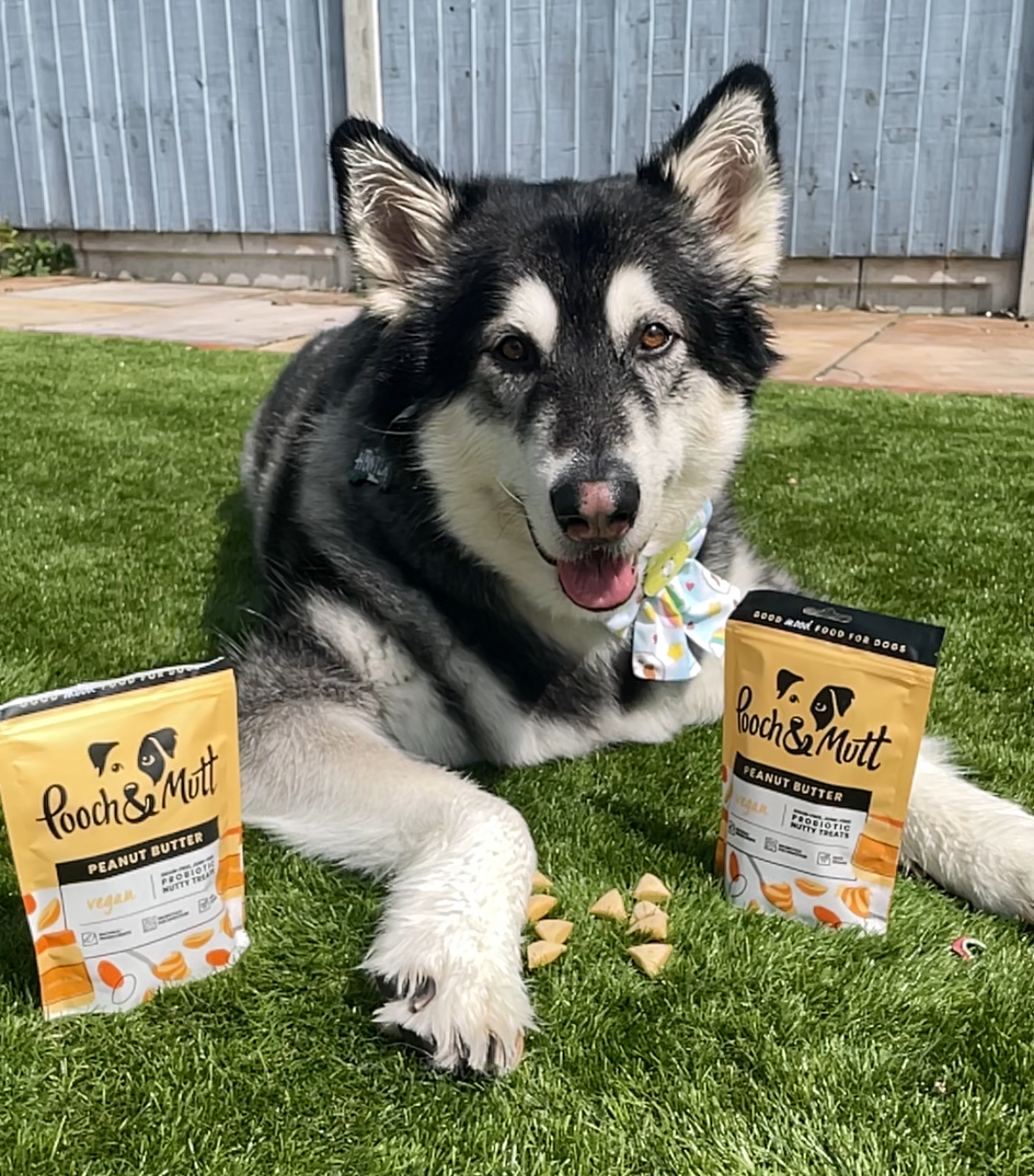 IMG 8785 - Tanya Cray