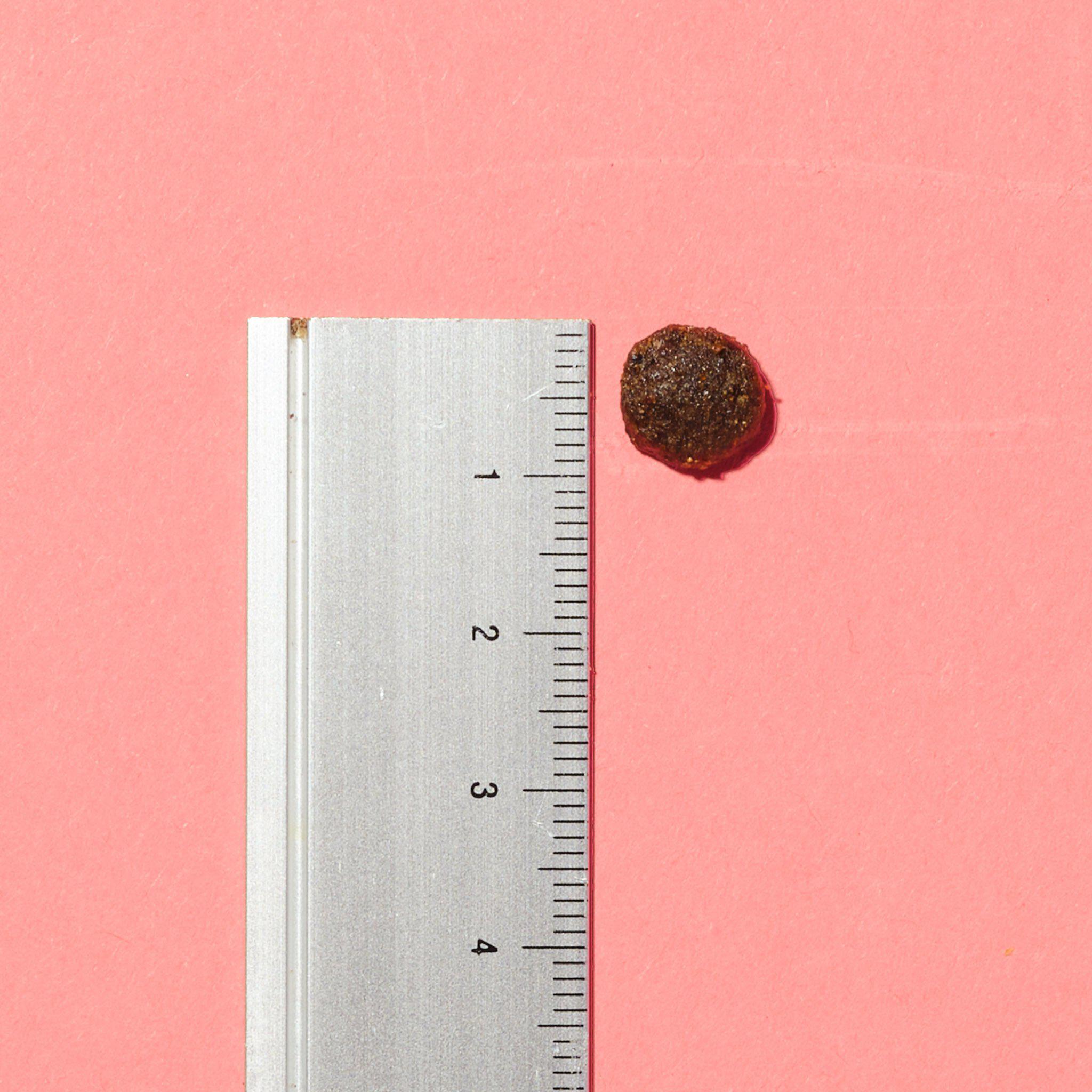 GLOBAL PRODUCT IMAGES-PUPPY-3.5