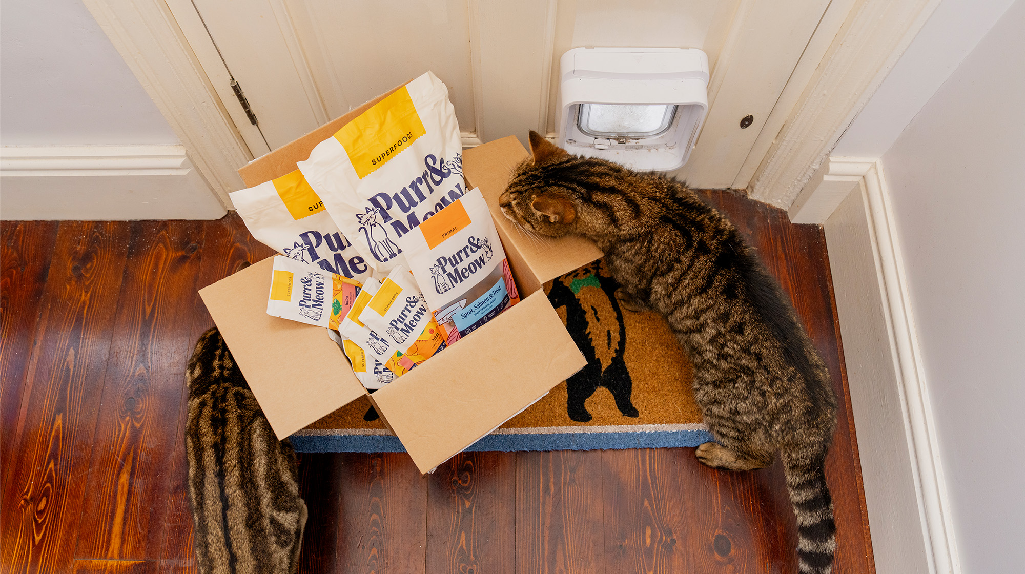 BLOG WHY HAS PURR & MEOW REBRANDED BODY IMAGE 2