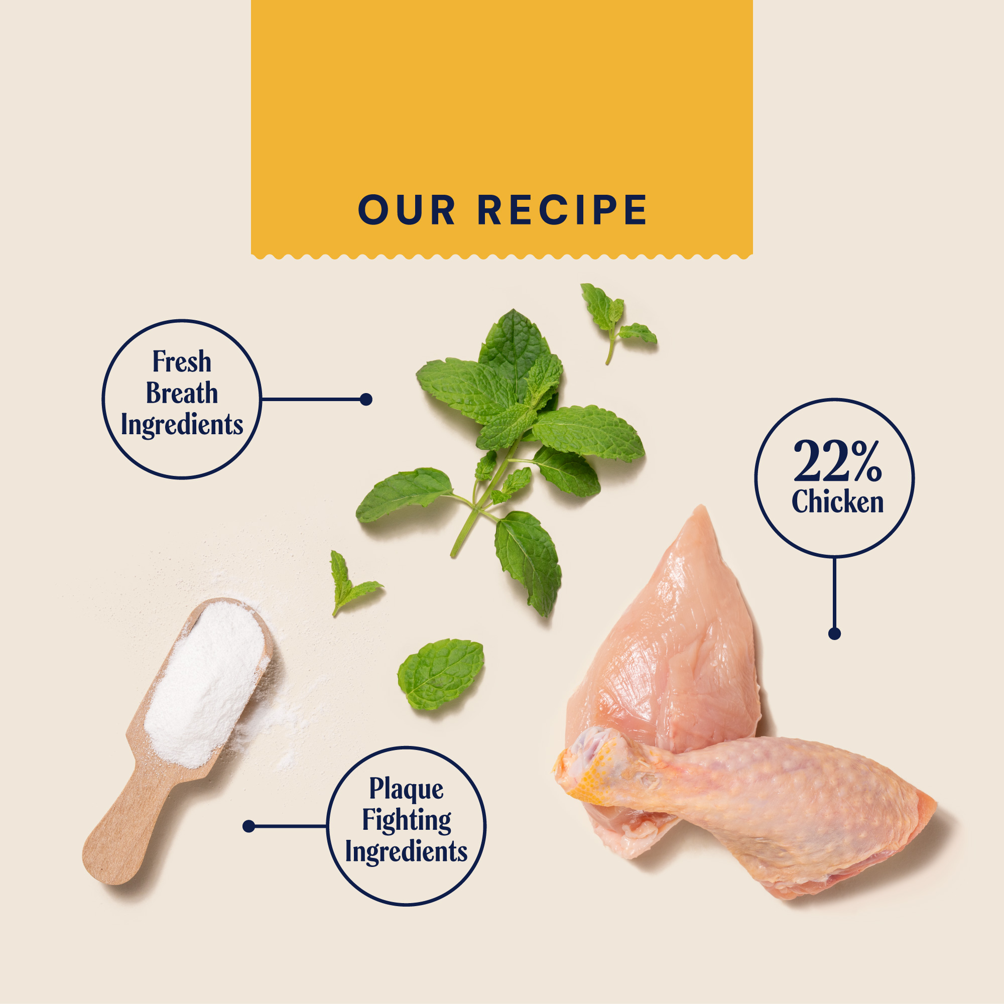  Superfood Dental Sticks For Dogs Recipe