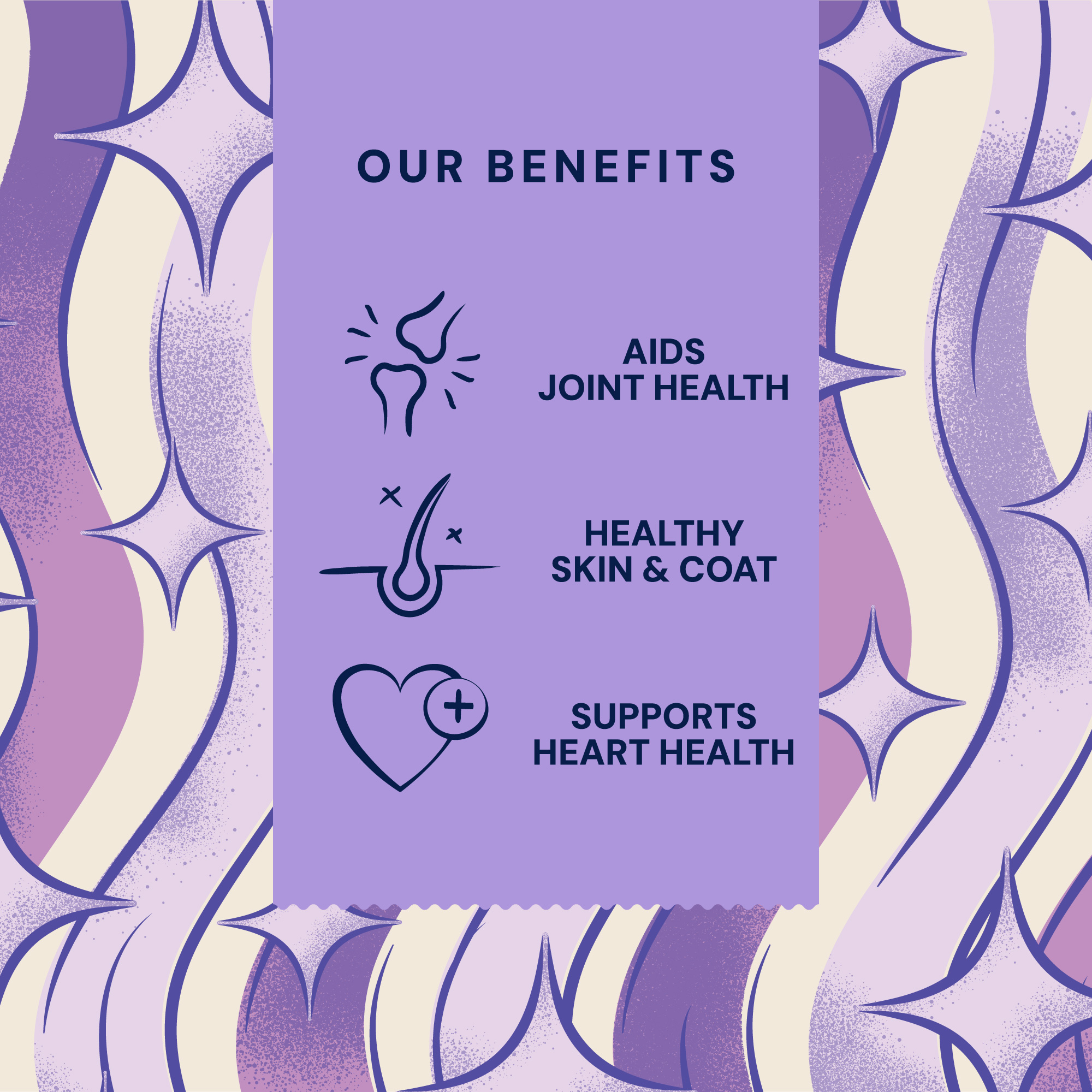 P&M BENEFIT-CARD SUPPLEMENTS WELLBEING SKIN-&-COAT SALMON-OIL