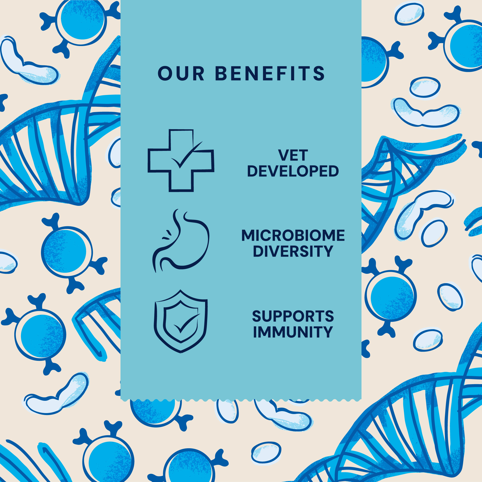 P&M BENEFIT-CARD SUPPLEMENTS VET IMMUNITY-SUPPORT