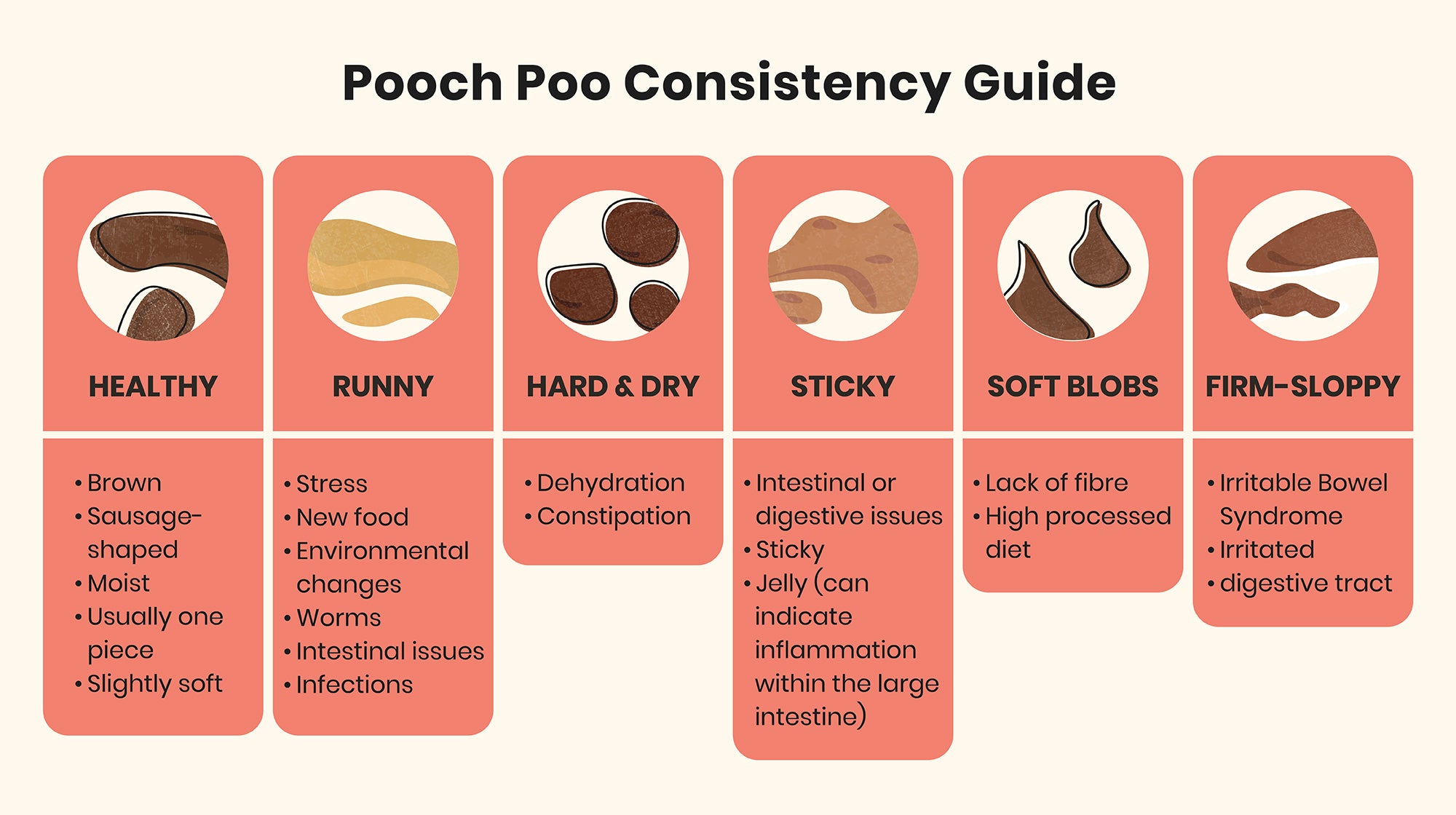 What can your dog's poo tell you about their health?-Image 1