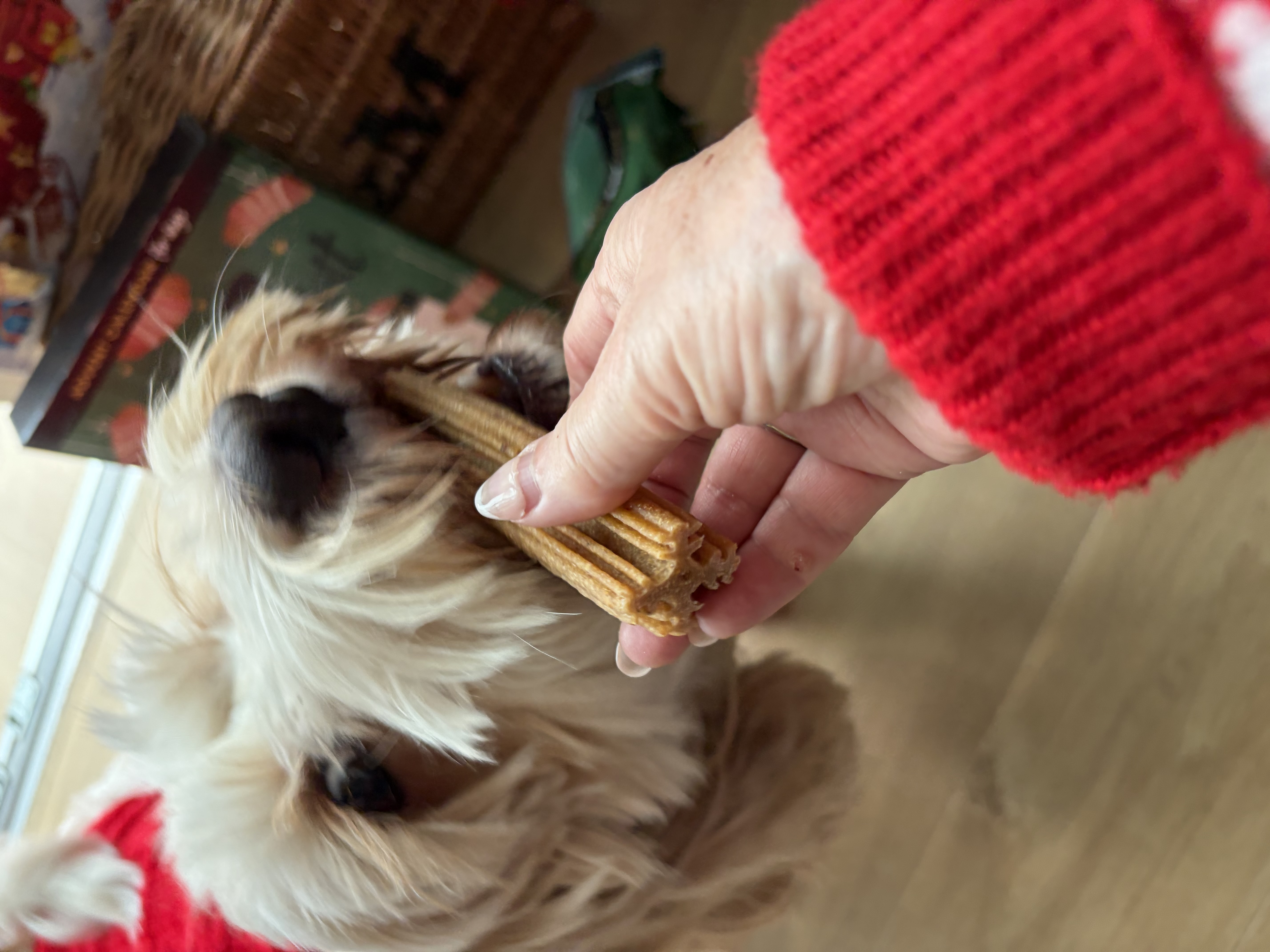 IMG 7839 - Elaine Coyne