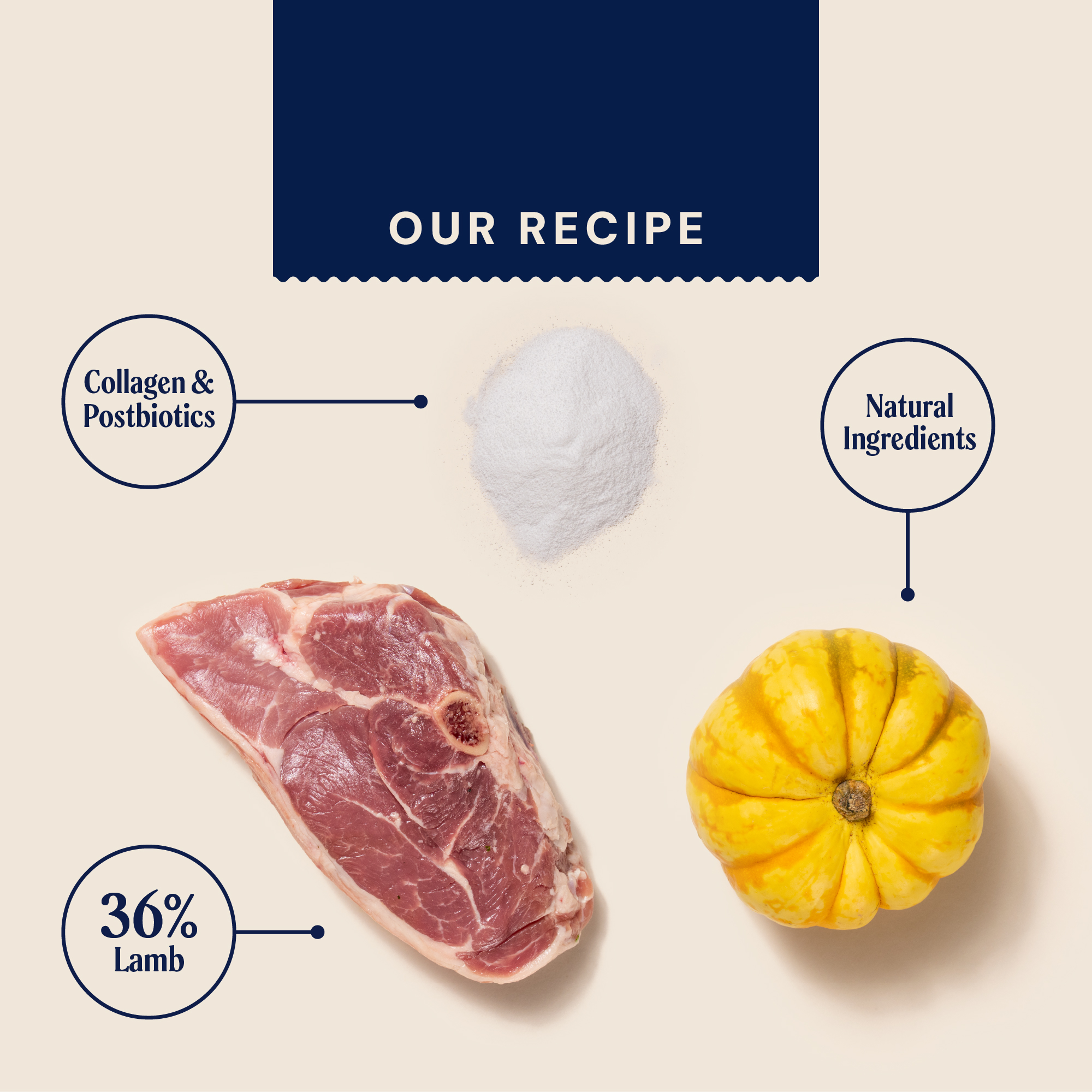 Lamb Probiotic Meaty Treats MTLLX1 3