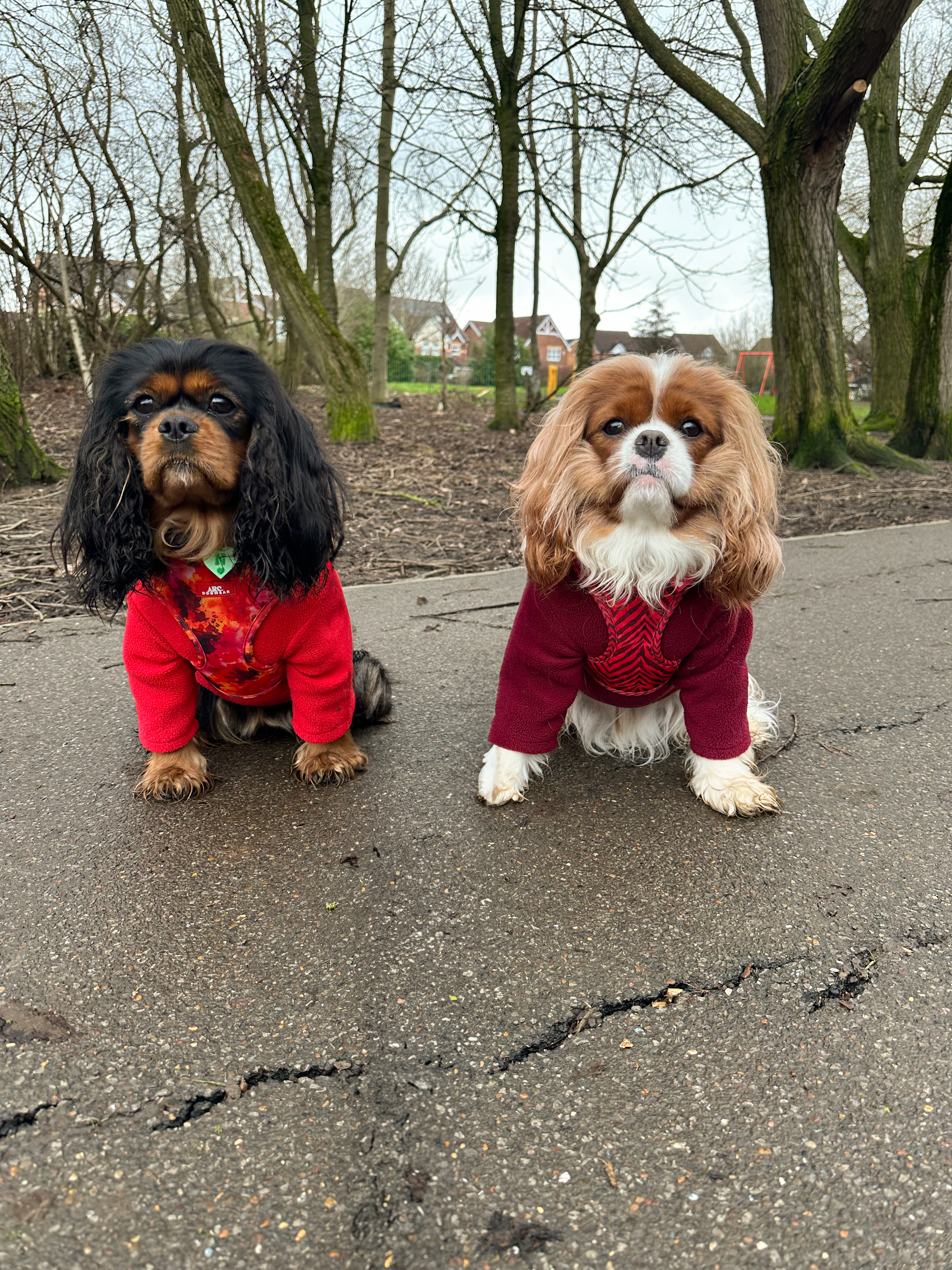 IMG 3263 - Sarah Stark