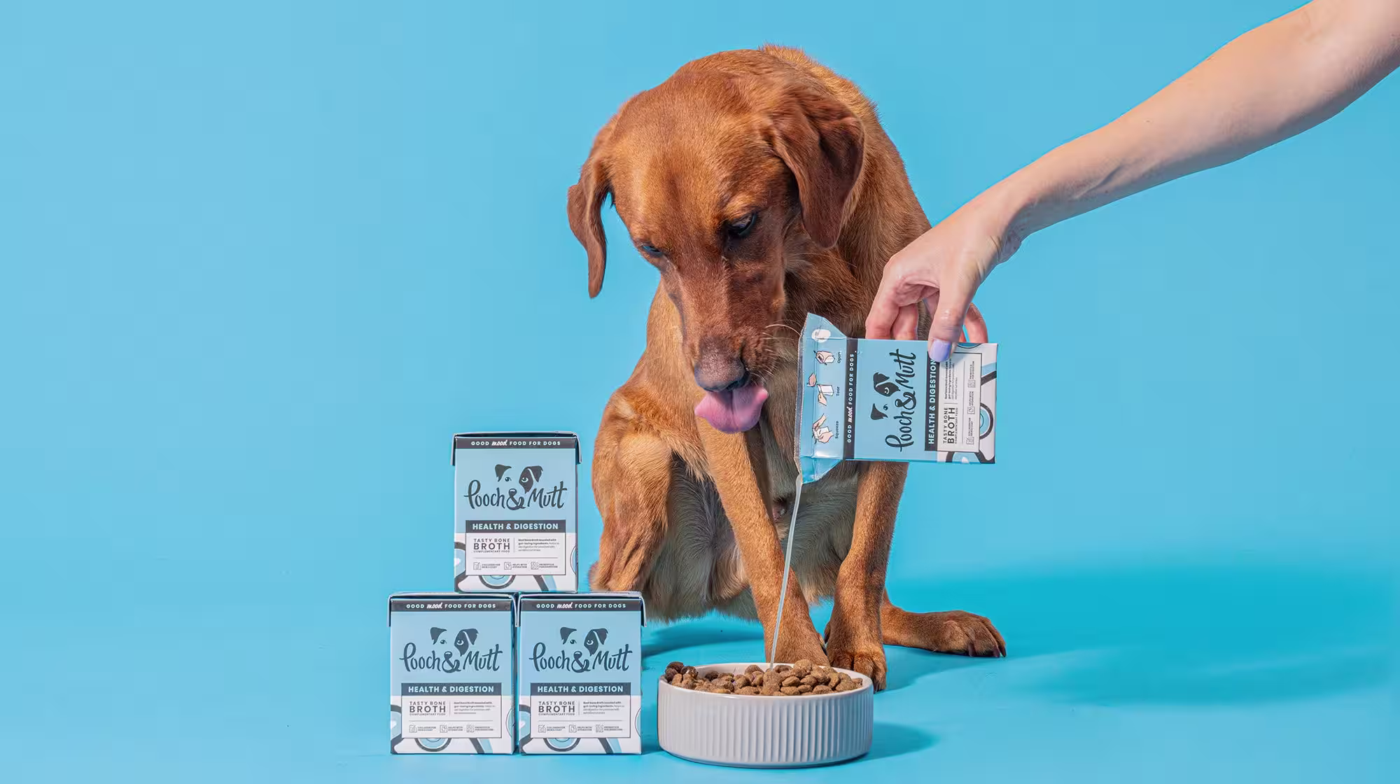 What is bone broth for dogs?-Image 1