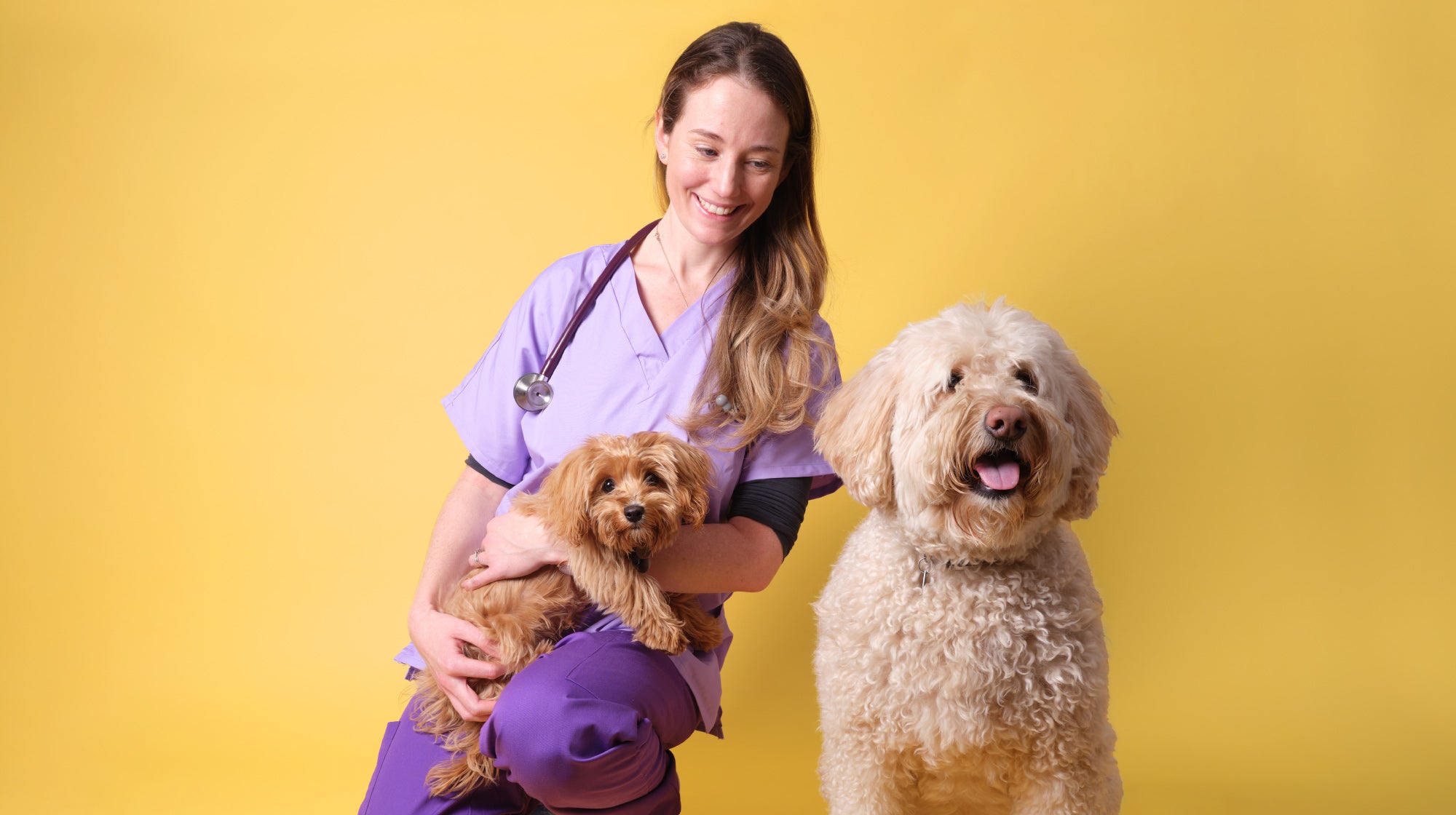 Signs your dog loves you-Image 1