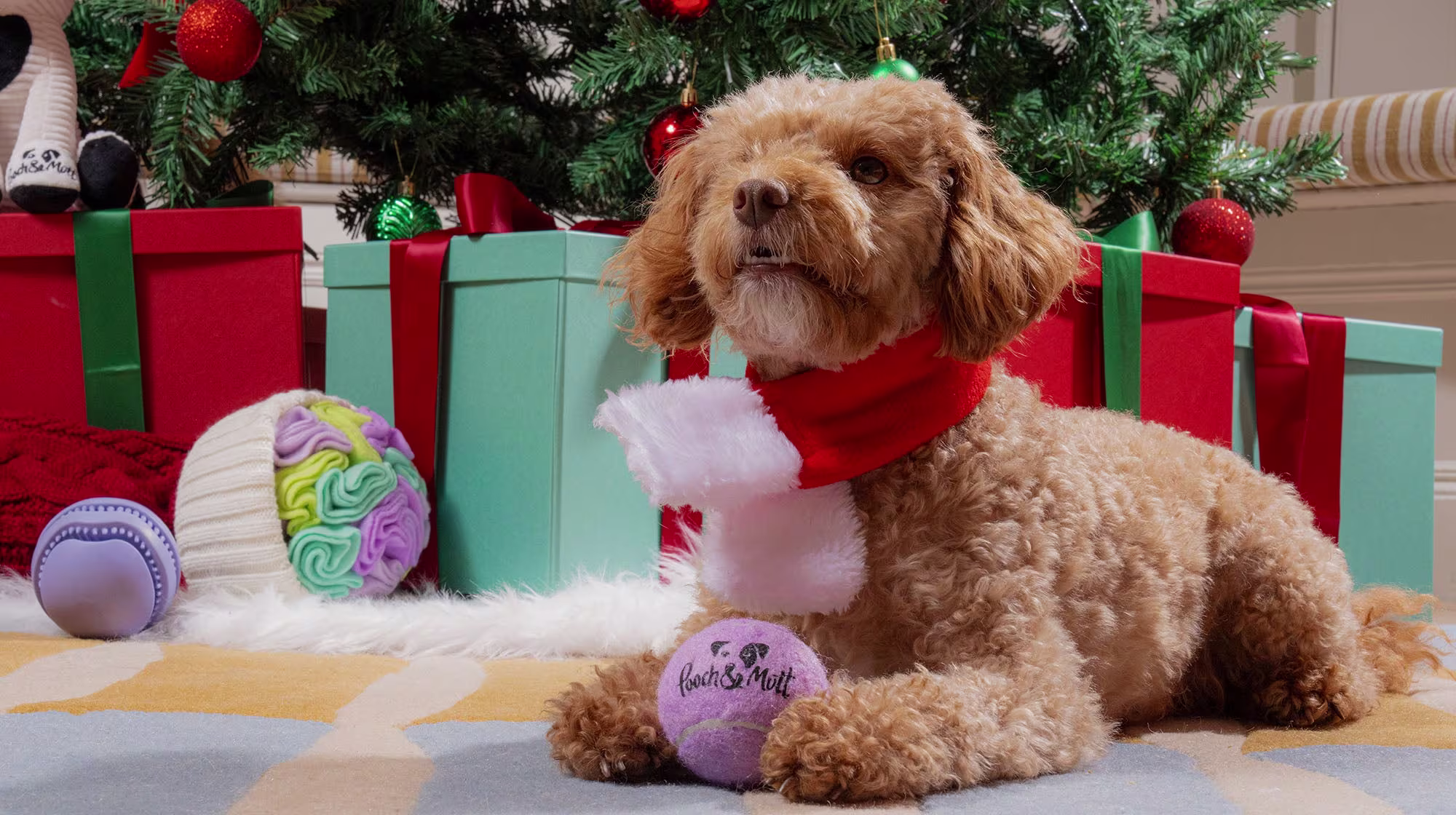 Top 5 Christmas gift ideas for every type of dog-Image 3