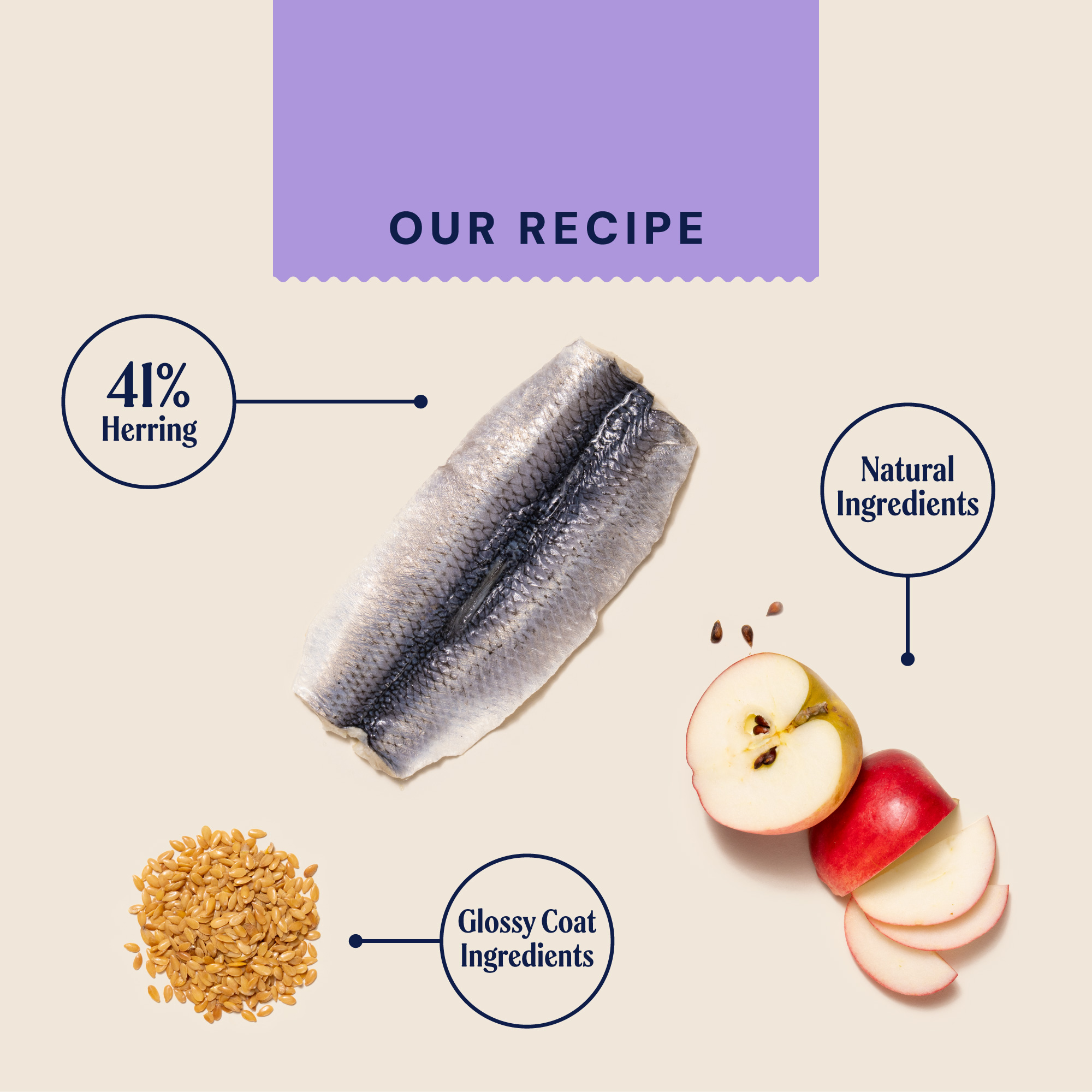 P&M INGREDIENT IMAGE WELLBEING SKIN & COAT