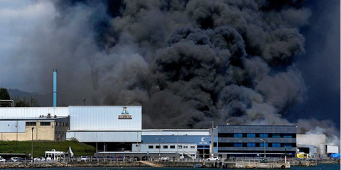 Why we changed our wet food recipe in 2022-Image 1