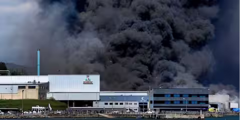 Why we changed our wet food recipe in 2022-Image 1