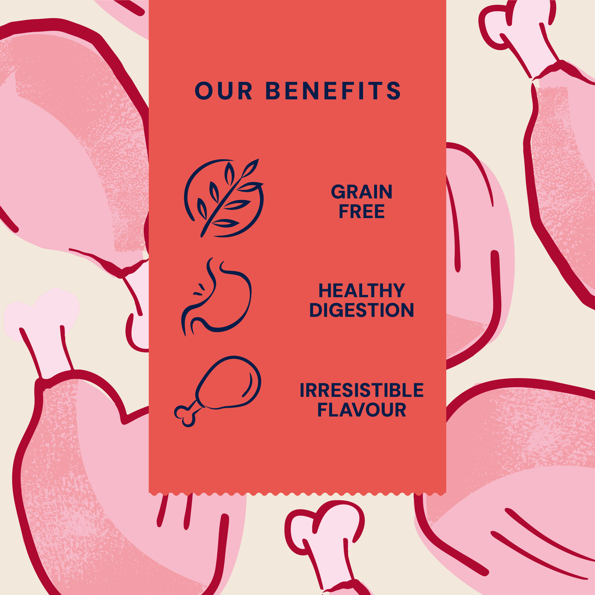 P&M BENEFIT CARD FREEZE DRIED RAW CHICKEN