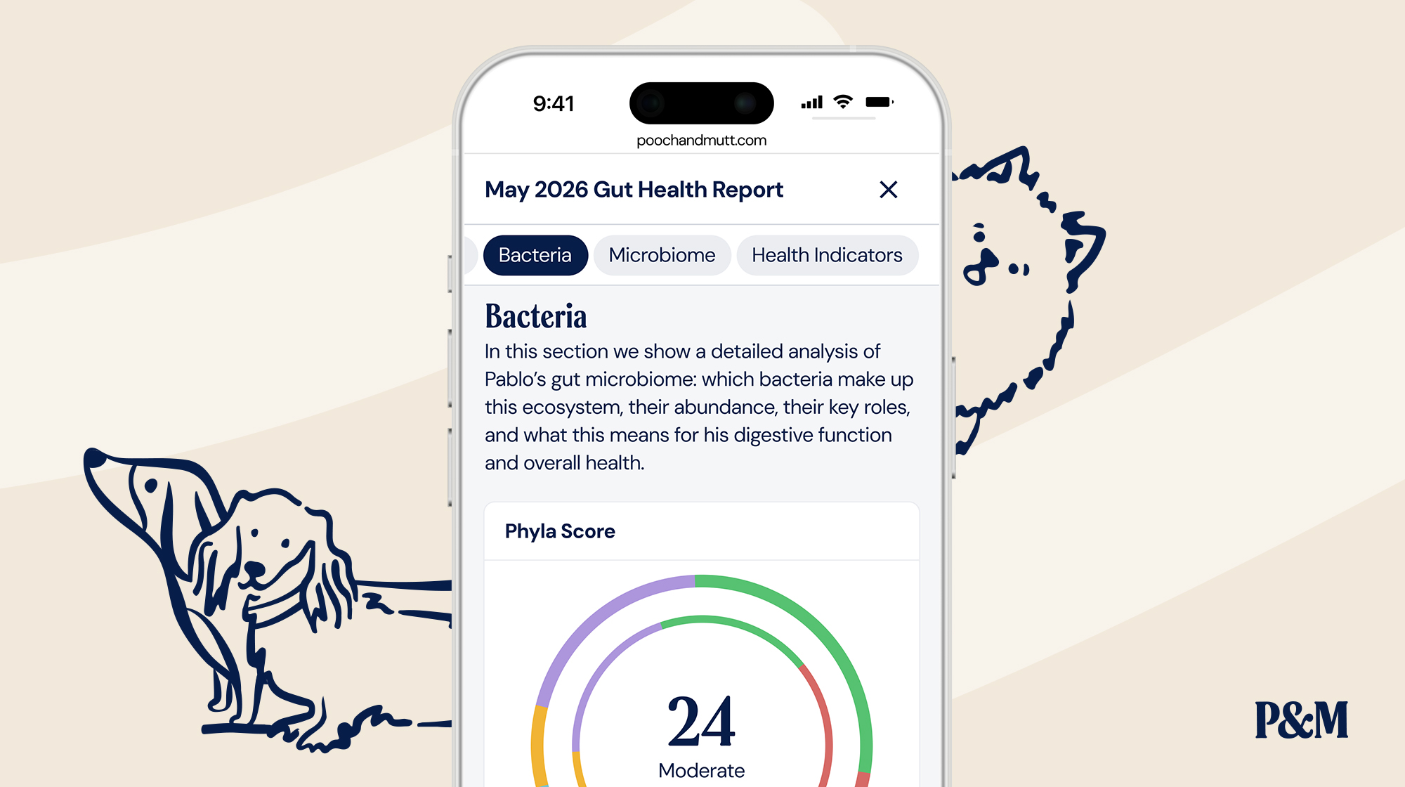 P&M BLOG INFOGRAPHIC GUT HEALTH TEST REPORT EXAMPLE 4