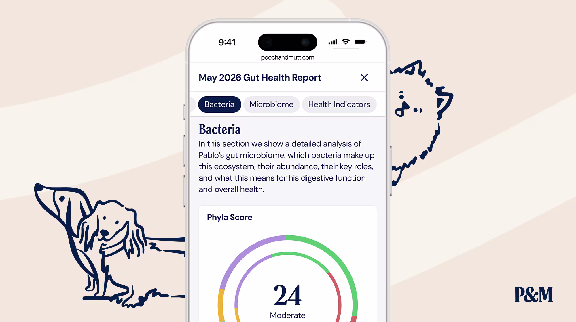 P&M BLOG INFOGRAPHIC GUT HEALTH TEST REPORT EXAMPLE 4