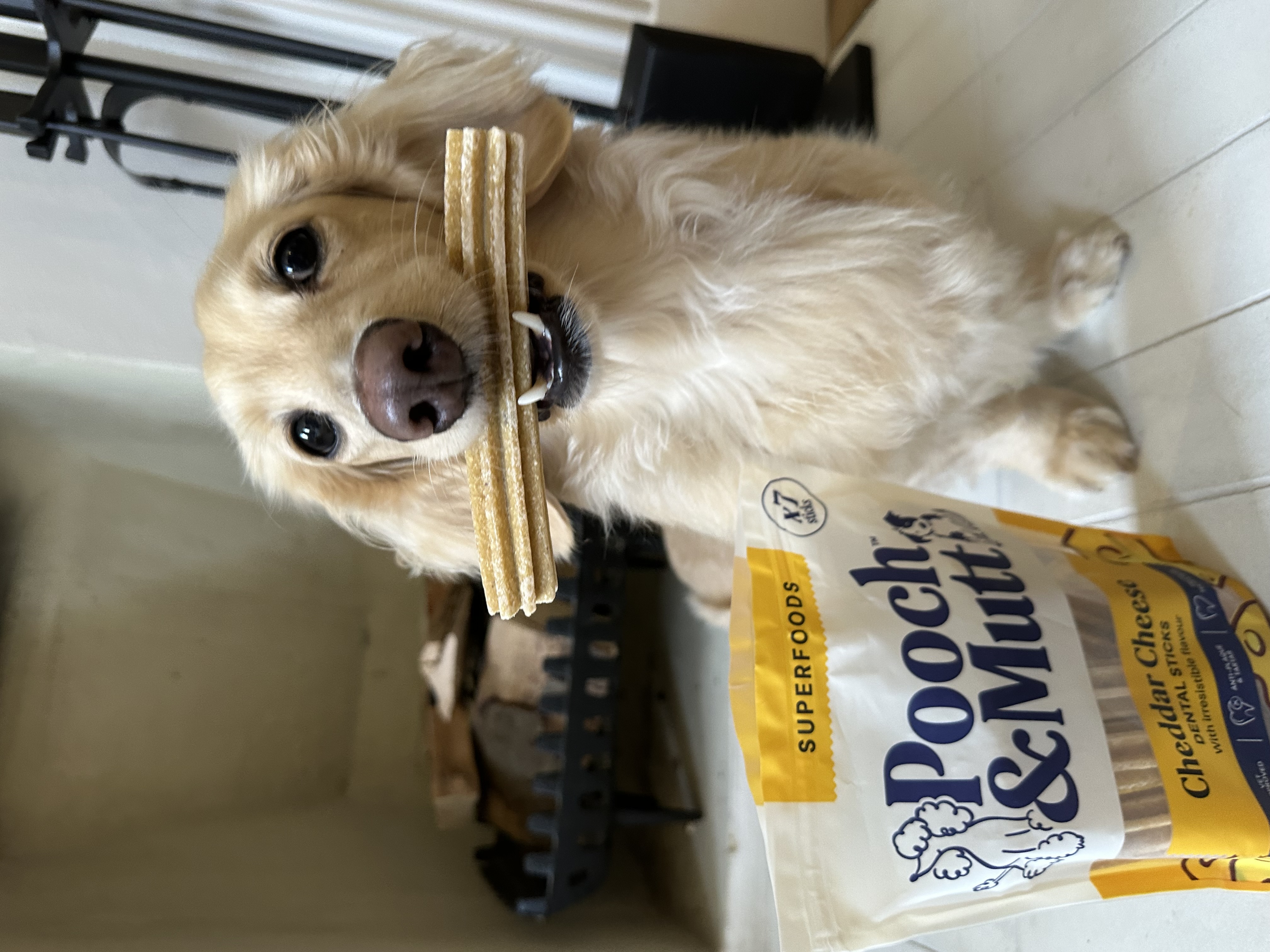 IMG 9497 - Regan Sherwood