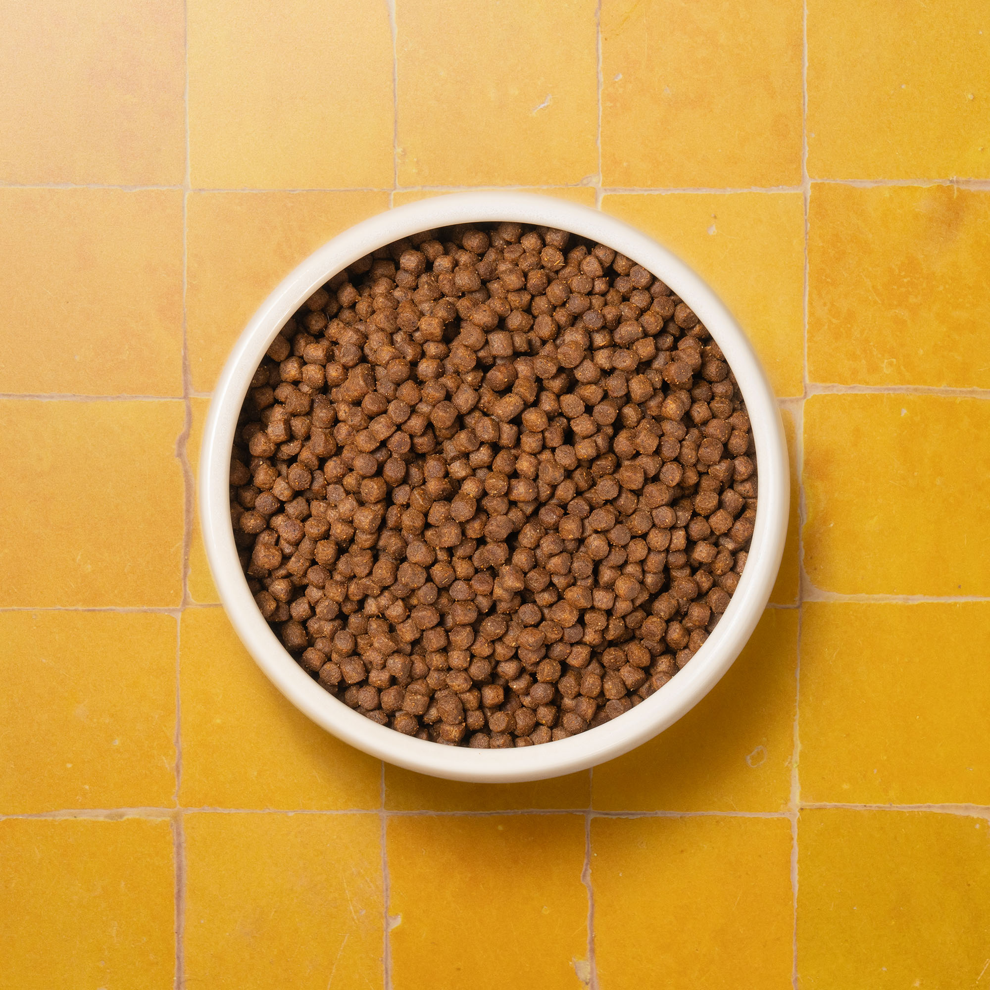 P&M CAT SUPERFOODS KITTEN DRY FOOD 72dpi