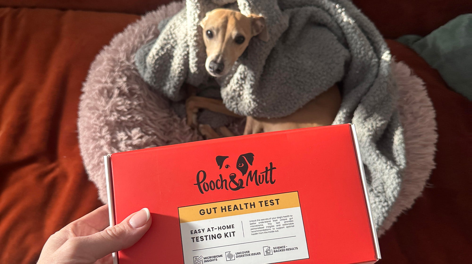 Lennie’s Gut Health Story with Kefir-Image 2