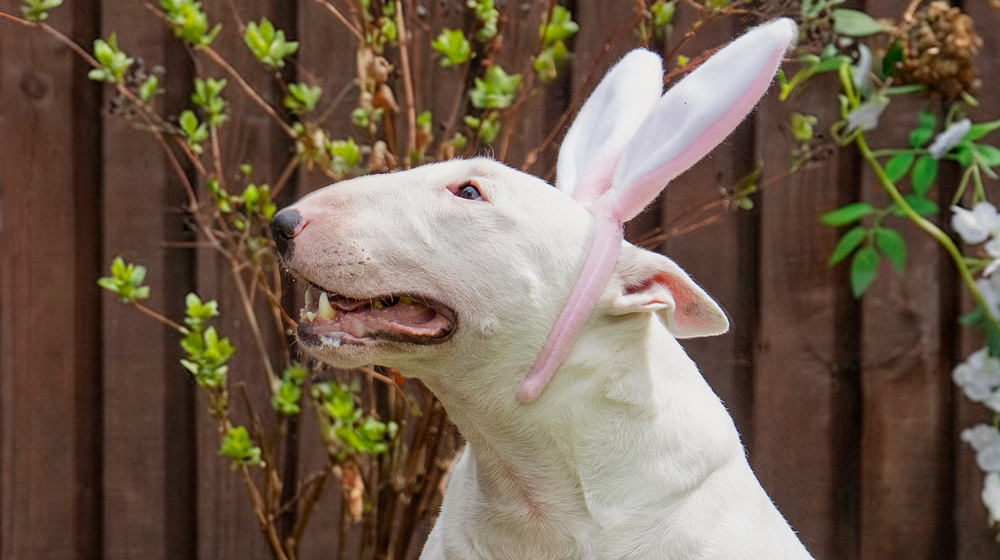 BLOG SPRING TREATS EGG HUNT 3