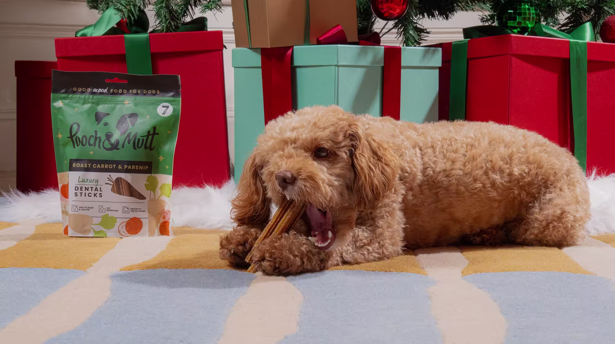 Top 5 Christmas gift ideas for every type of dog-Image 1