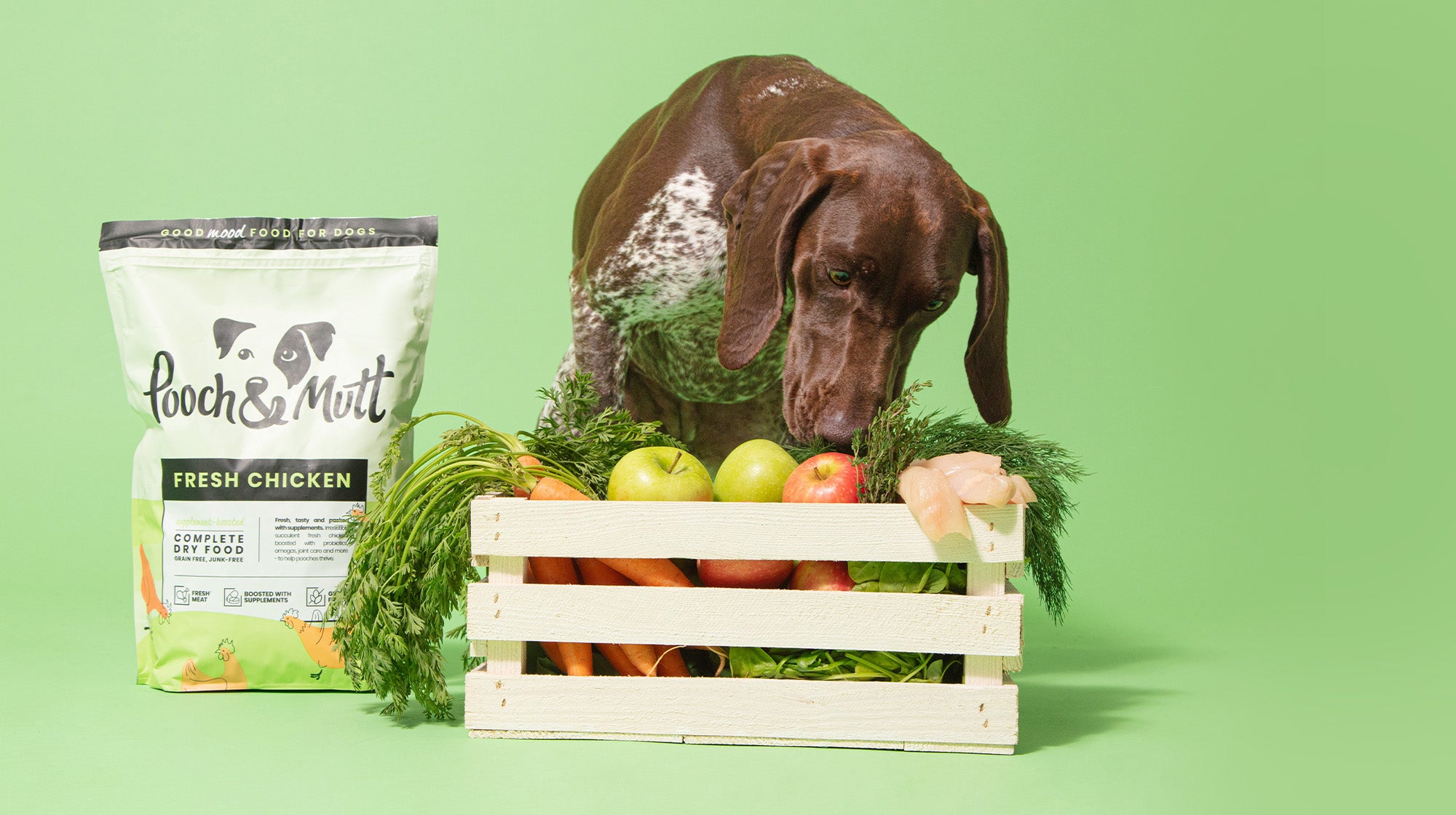 Can dogs eat Sweetcorn?-Image 1