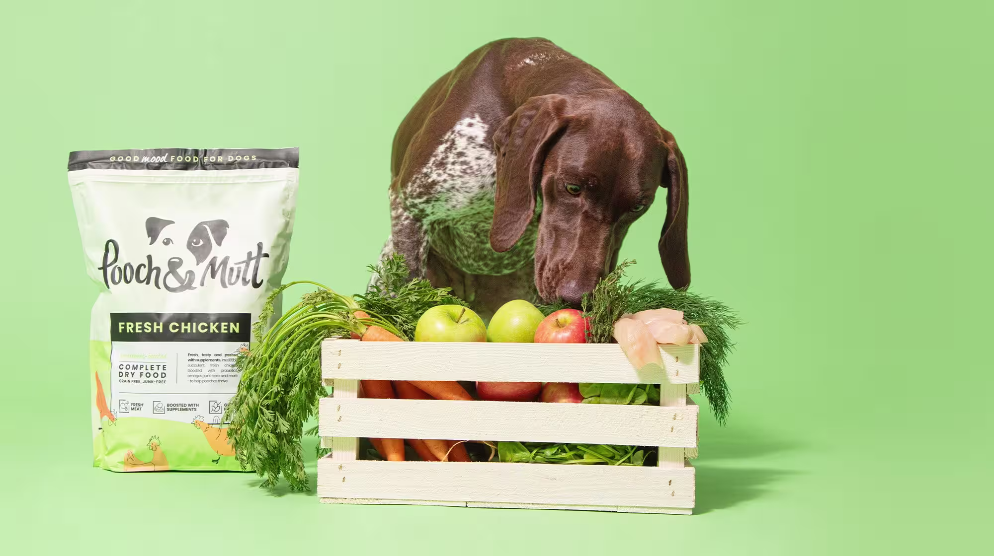 Can dogs eat Sweetcorn?-Image 1