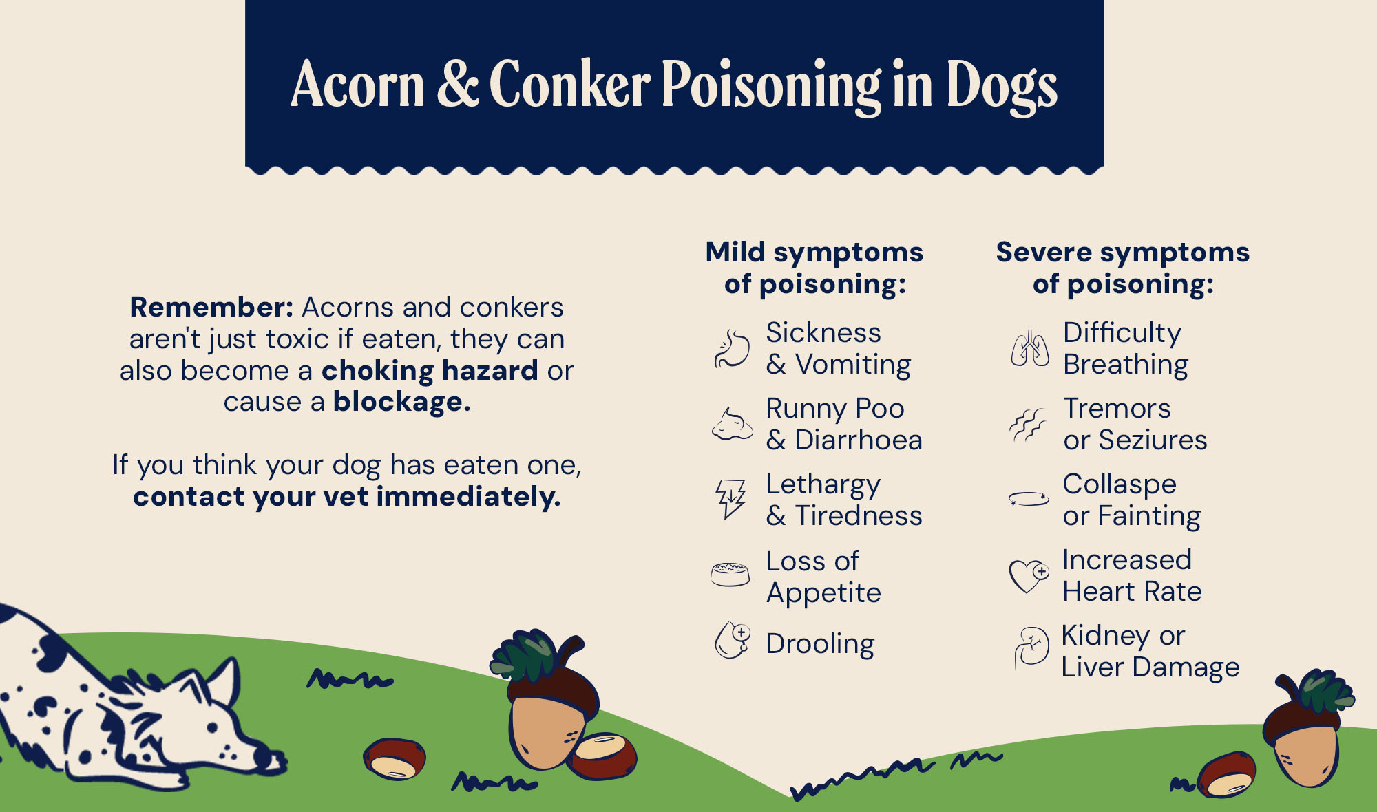 SOCIAL ACORN AND CONKER POISONING BLOG INFOGRAPHIC