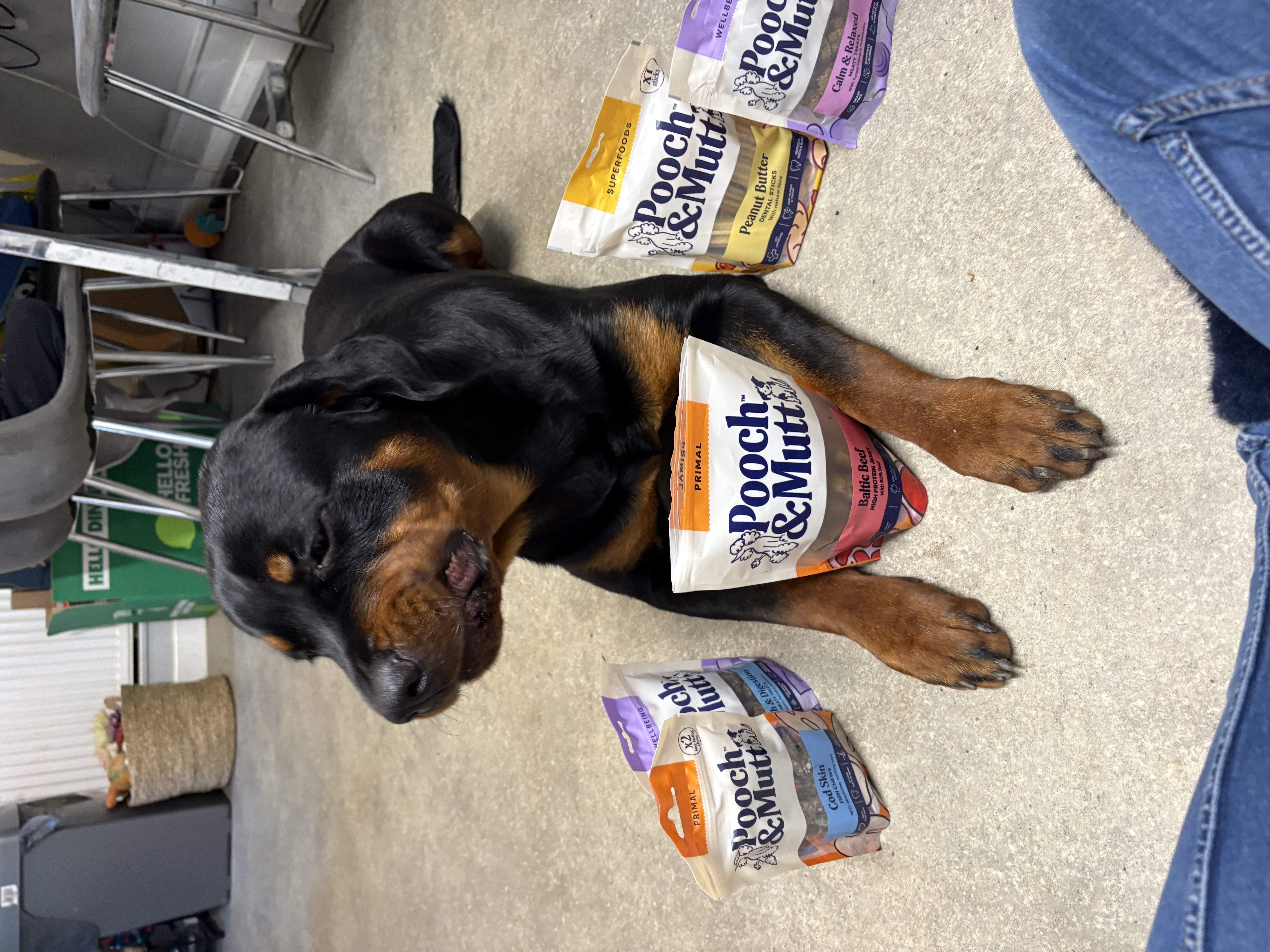 IMG 4877 - Jamieleigh Hobbs