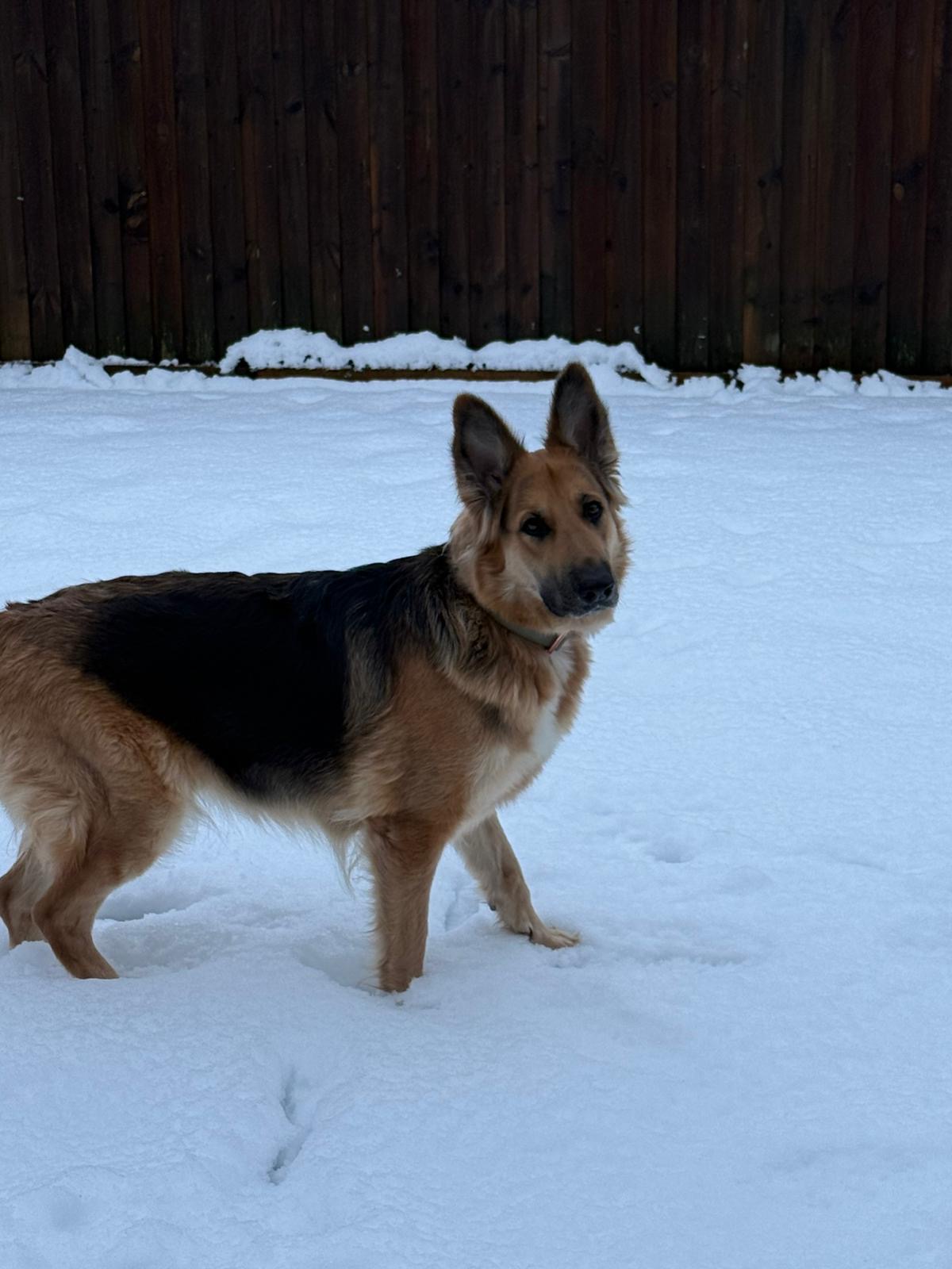 f50eb7d1-b885-42aa-b234-f048a36b0d48 - Caroline