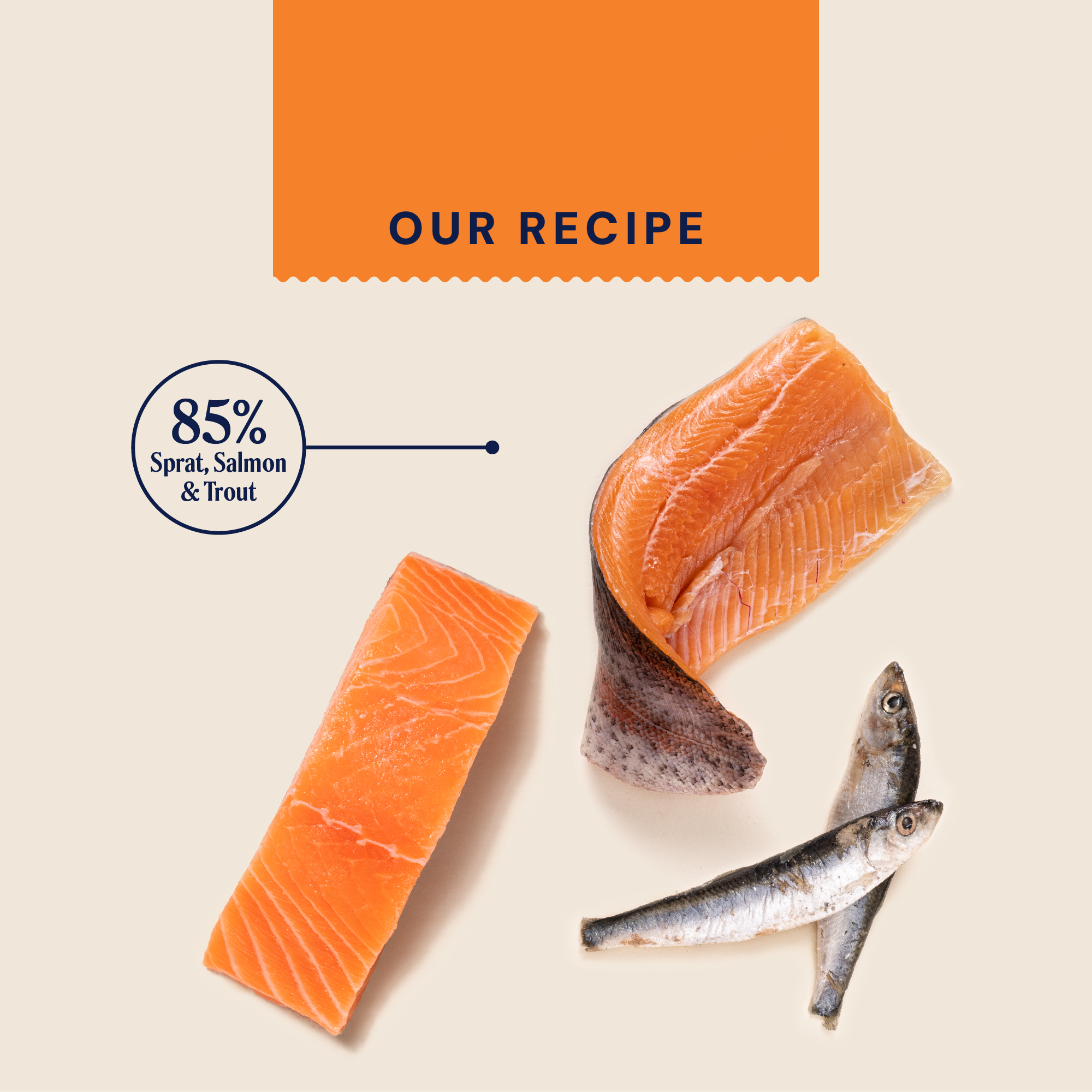 P&M INGREDIENT IMAGE PRIMAL SPRAT,SALMON & TROUT