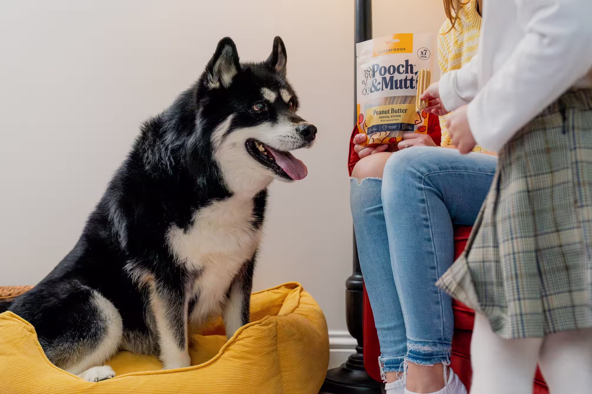 Healthy Dental Sticks For Dogs collection banner