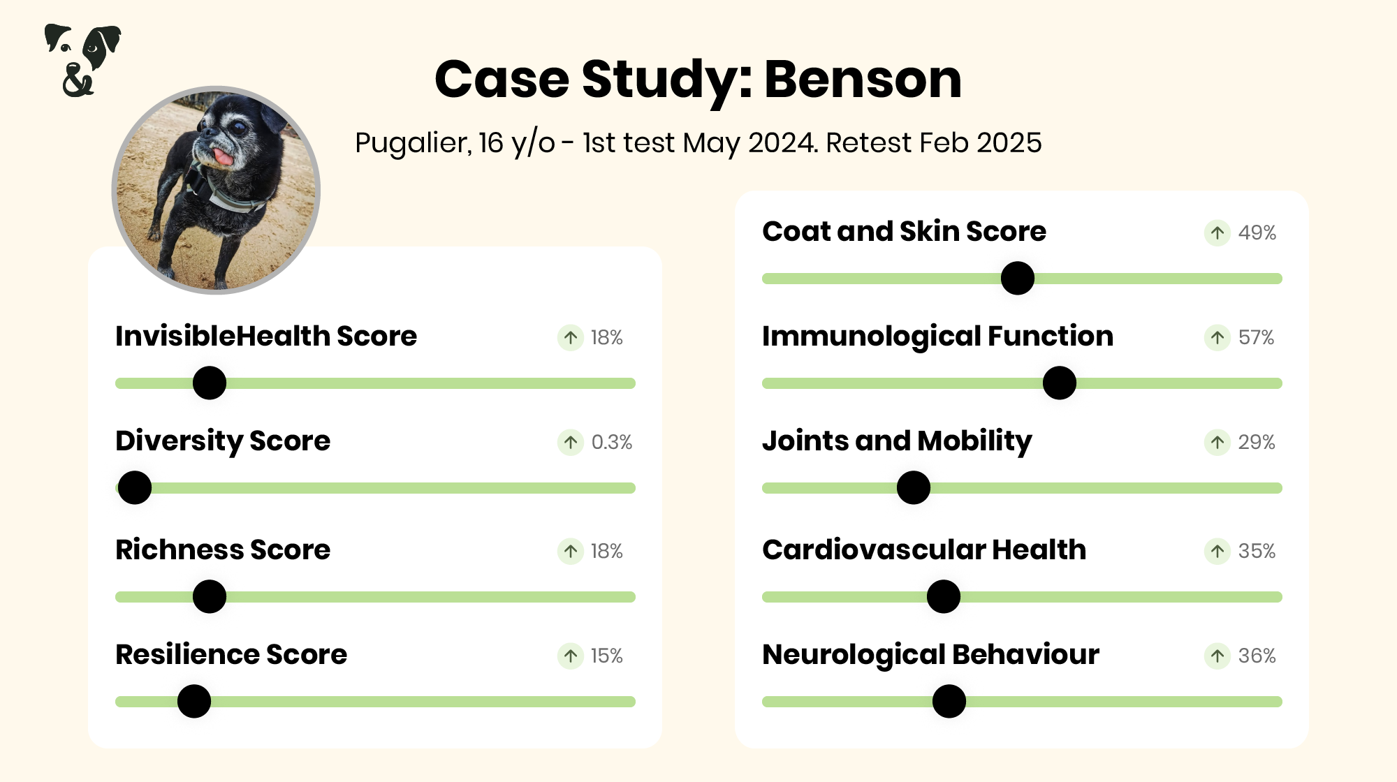 Gut Health Case Study: Benson the Pug-Image 2
