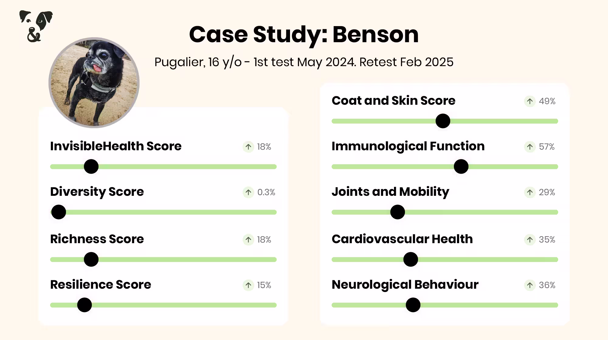 Gut Health Case Study: Benson the Pug-Image 2