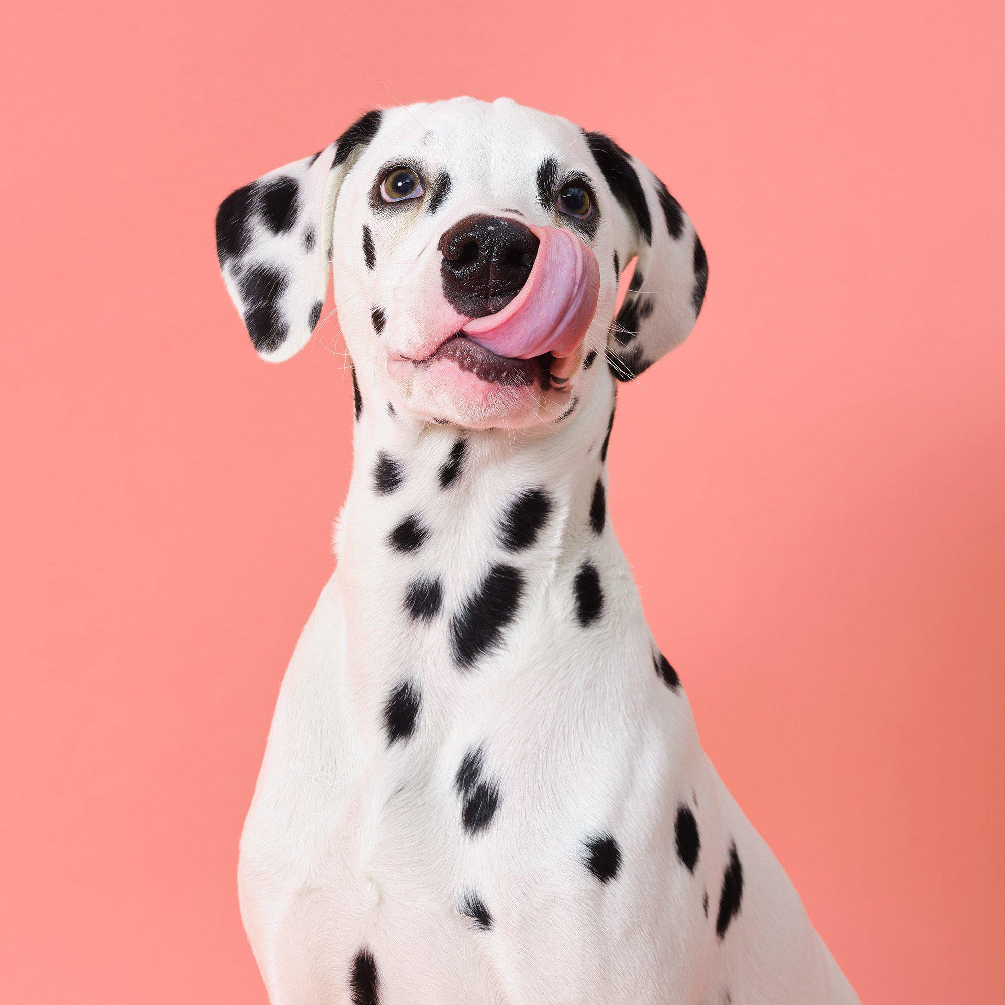 about-us-our-mission