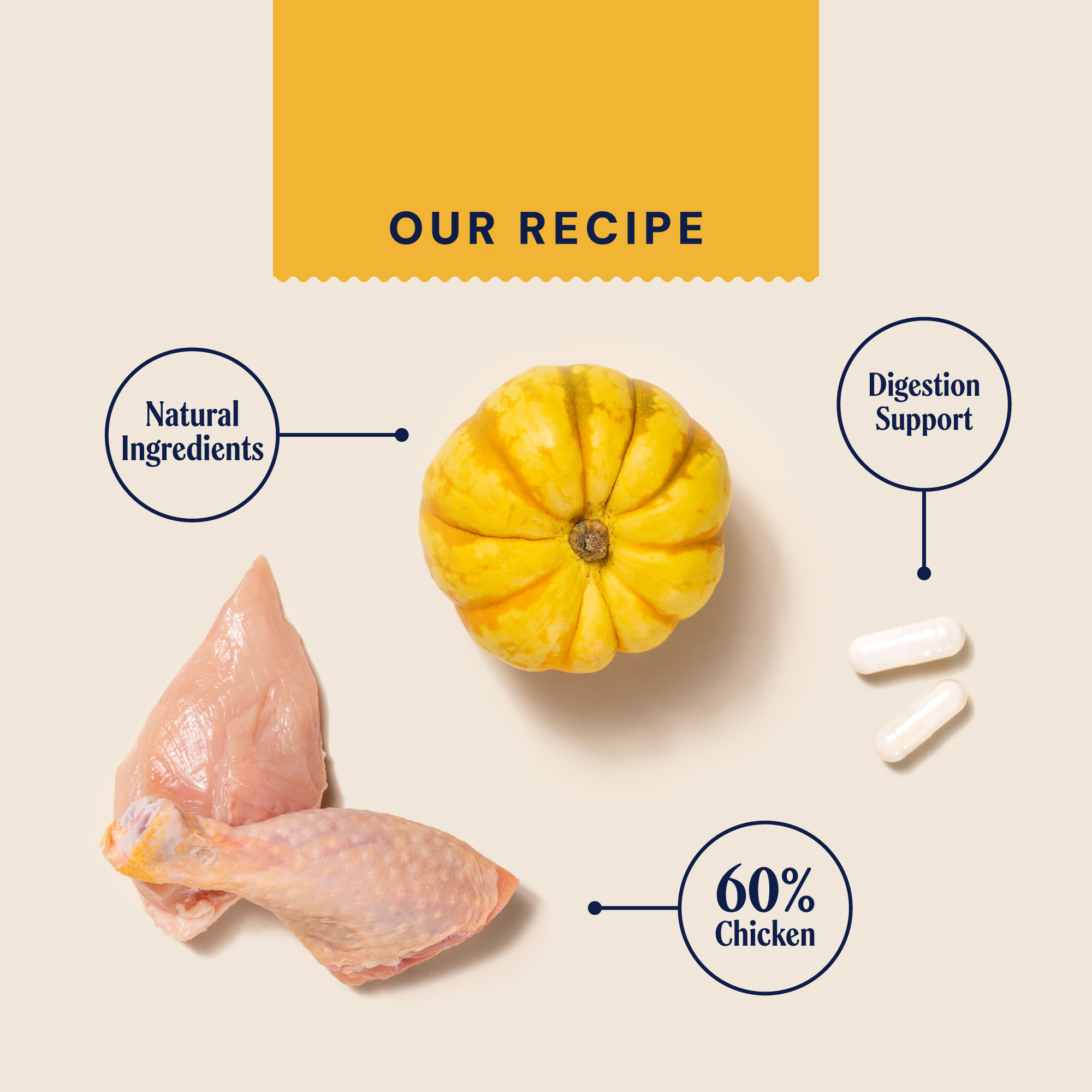P&M INGREDIENT IMAGE SUPERFOODS CHICKEN & PUMPKIN WET FOOD