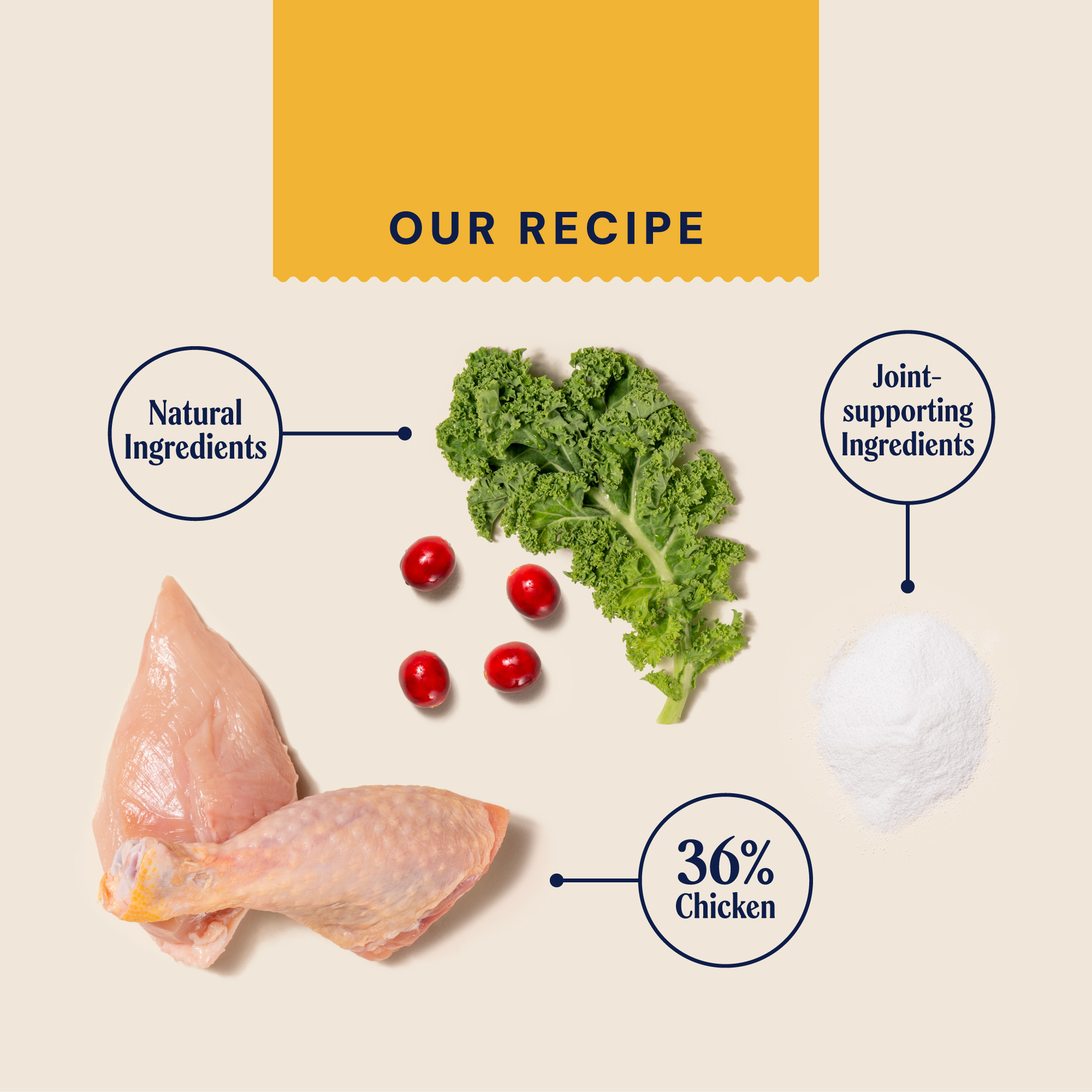 P&M INGREDIENT IMAGE SUPERFOODS SENIOR