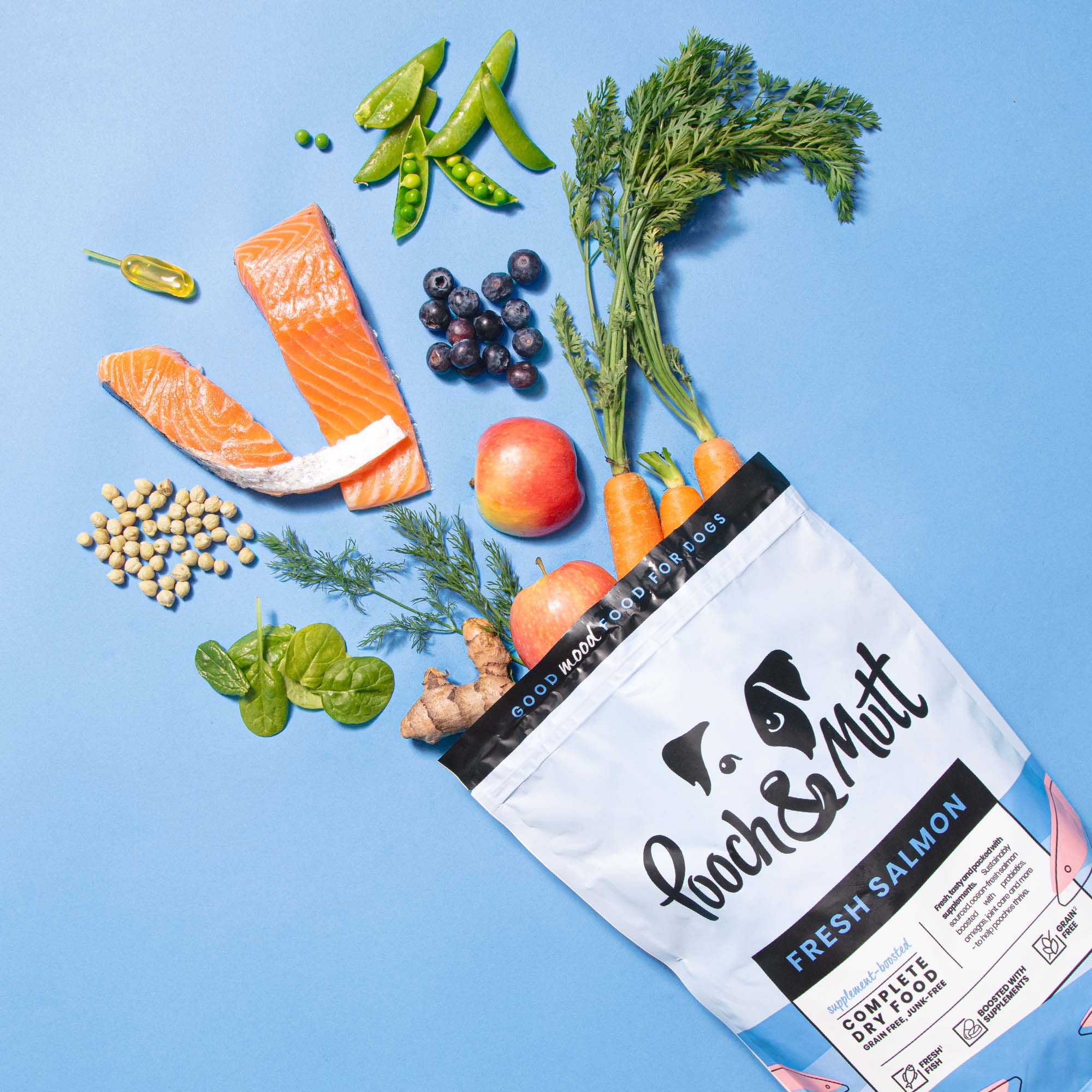 Single Protein Fresh Salmon Dry Food Clearance