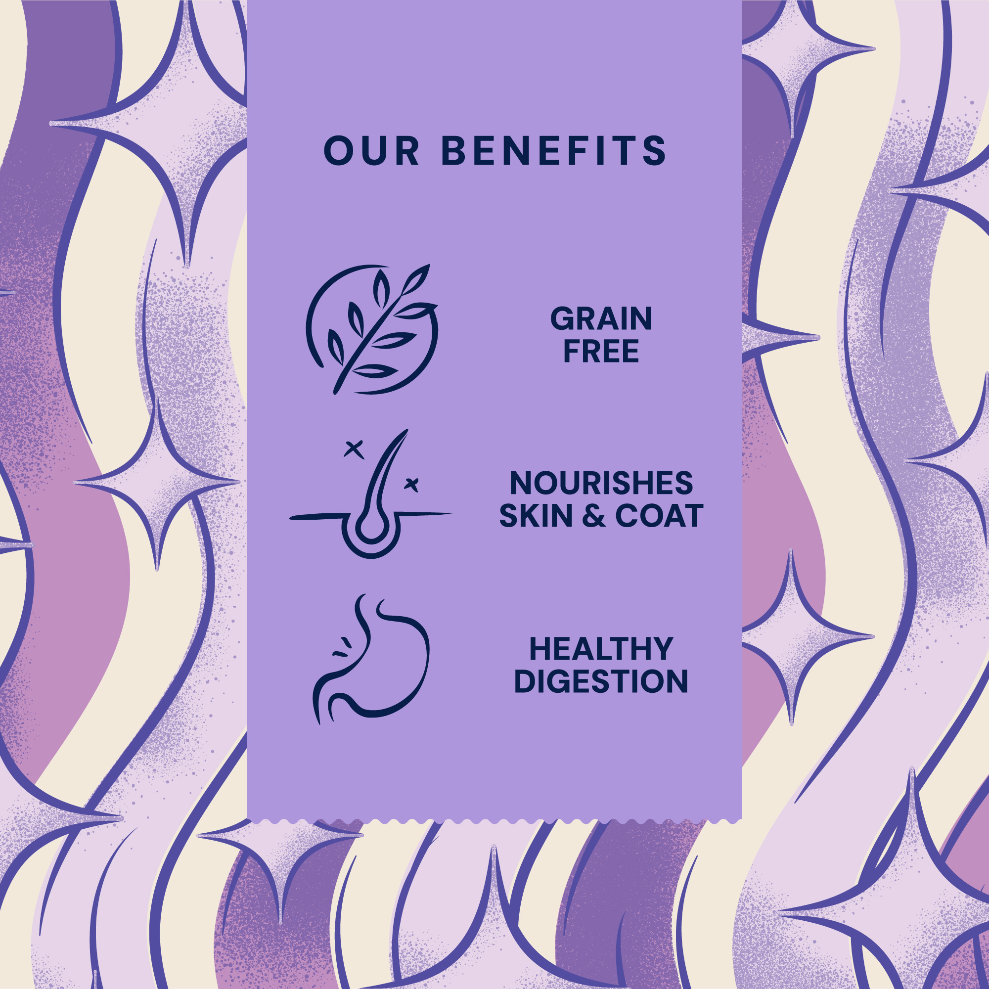 P&M BENEFIT-CARD TREATS WELLBEING SKIN-&-COAT