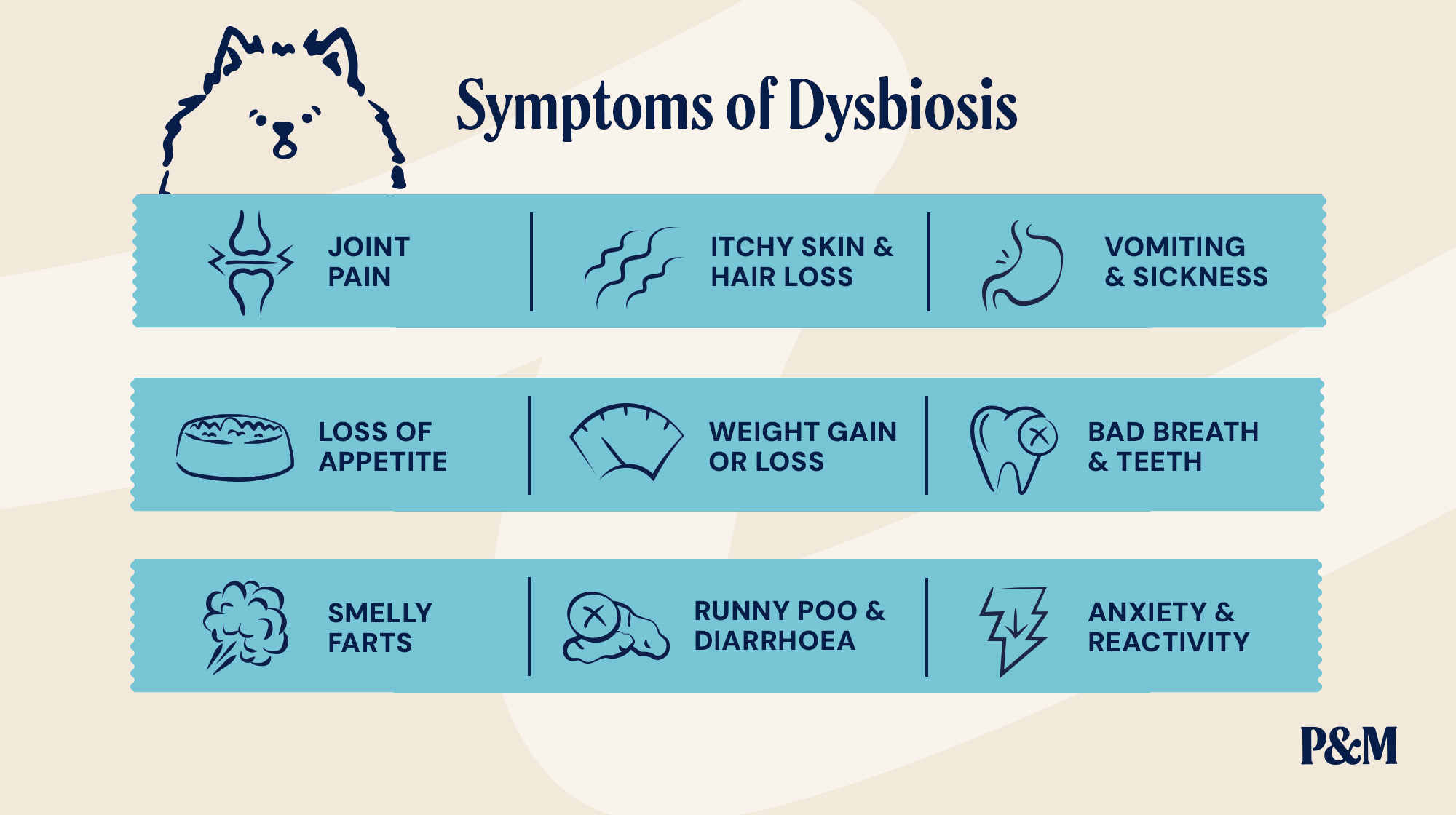 P&M BLOG INFOGRAPHIC SYMPTOMS OF DYSBIOSIS