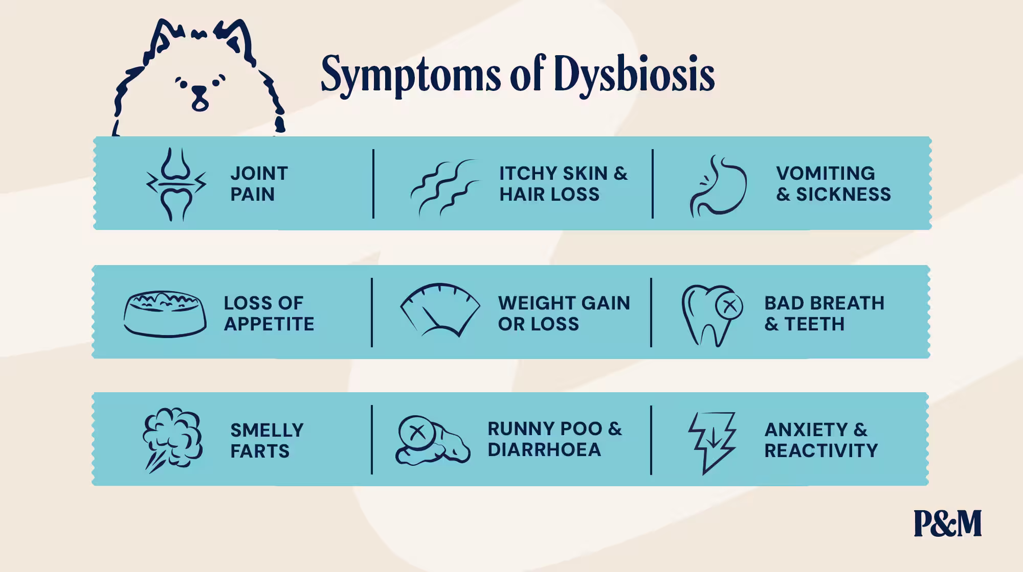 P&M BLOG INFOGRAPHIC SYMPTOMS OF DYSBIOSIS